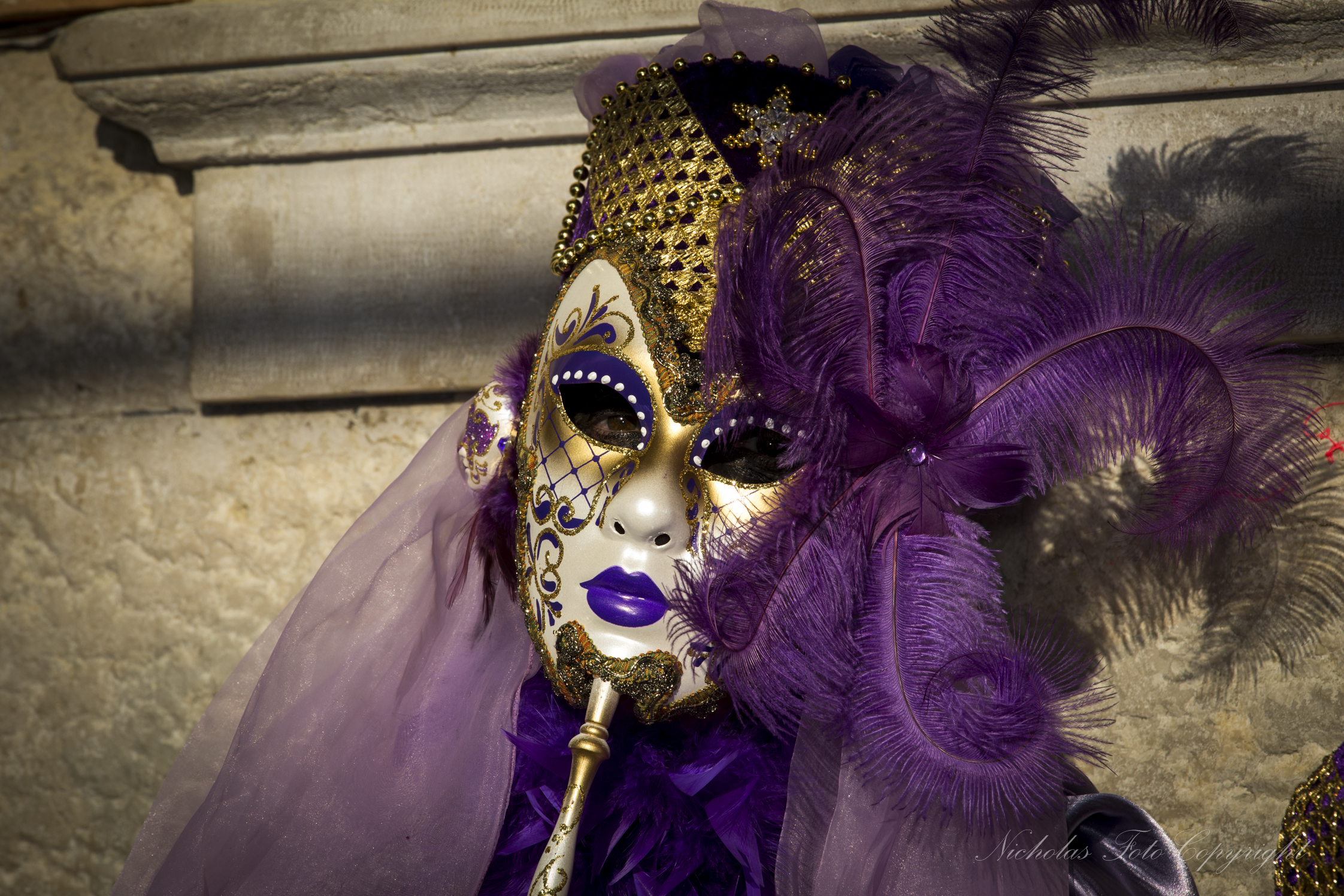 Venezia carnevale 2014...