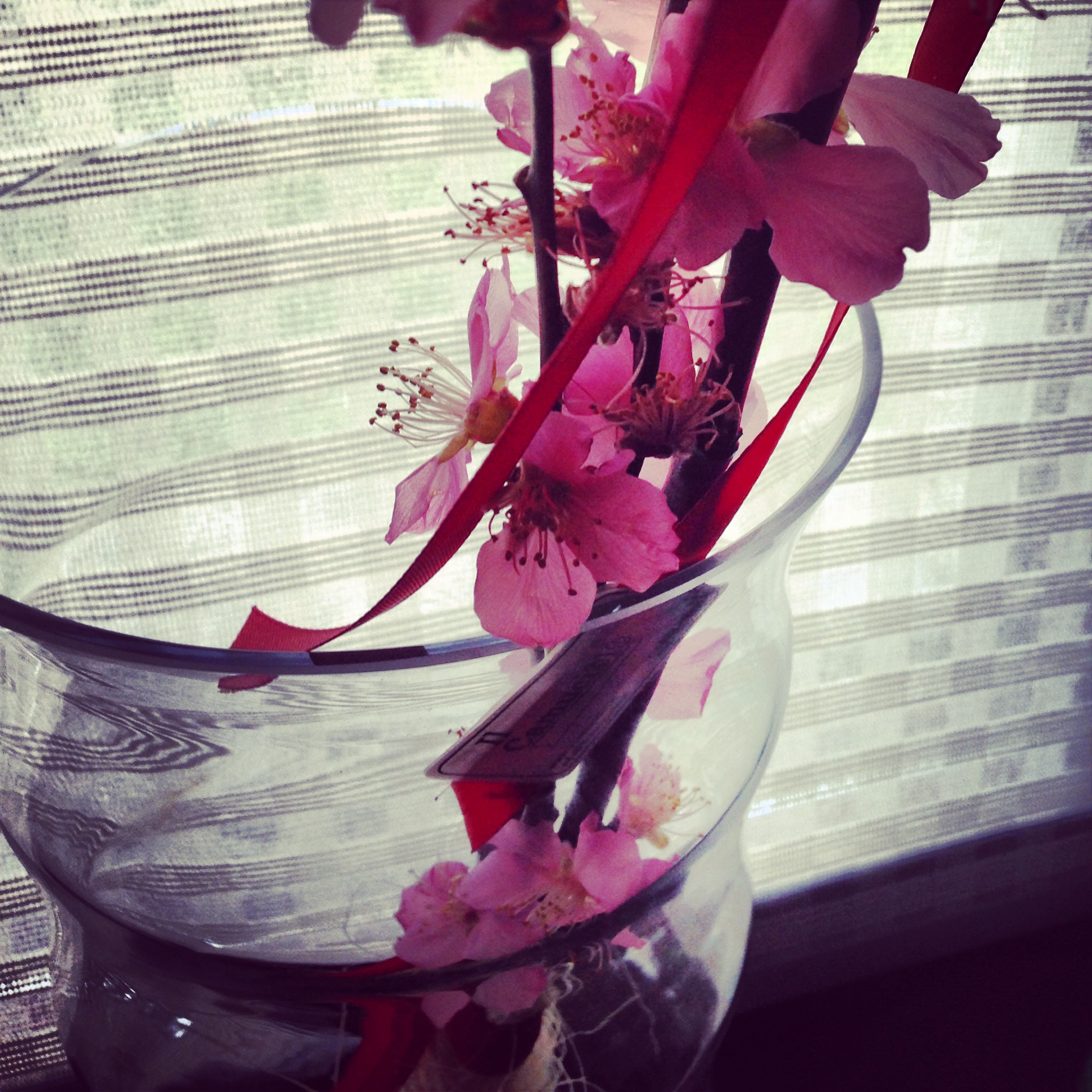 hints of spring...