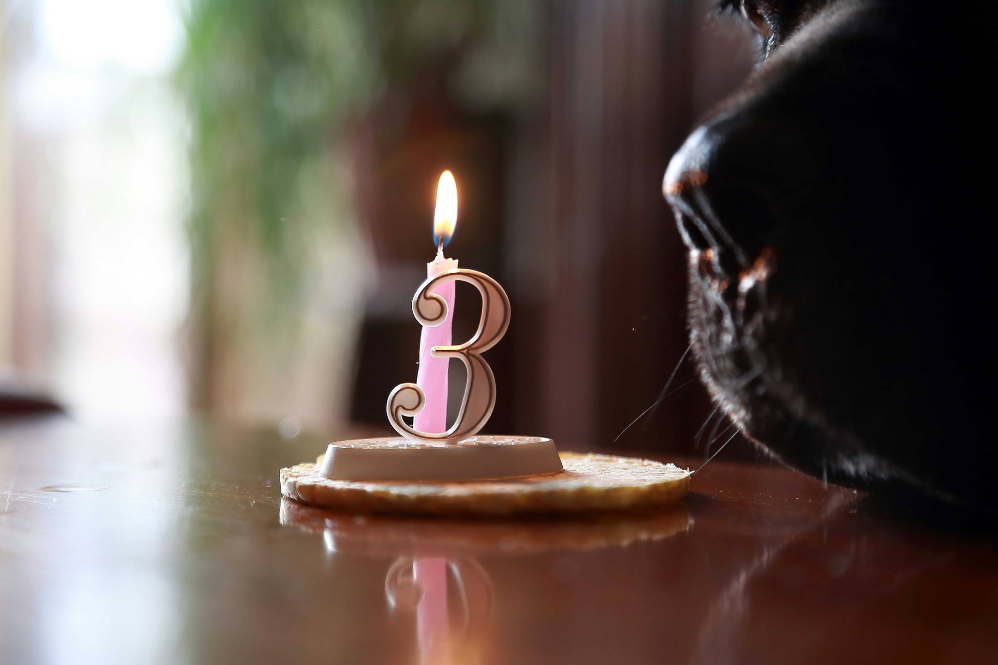 Happy Birthday...