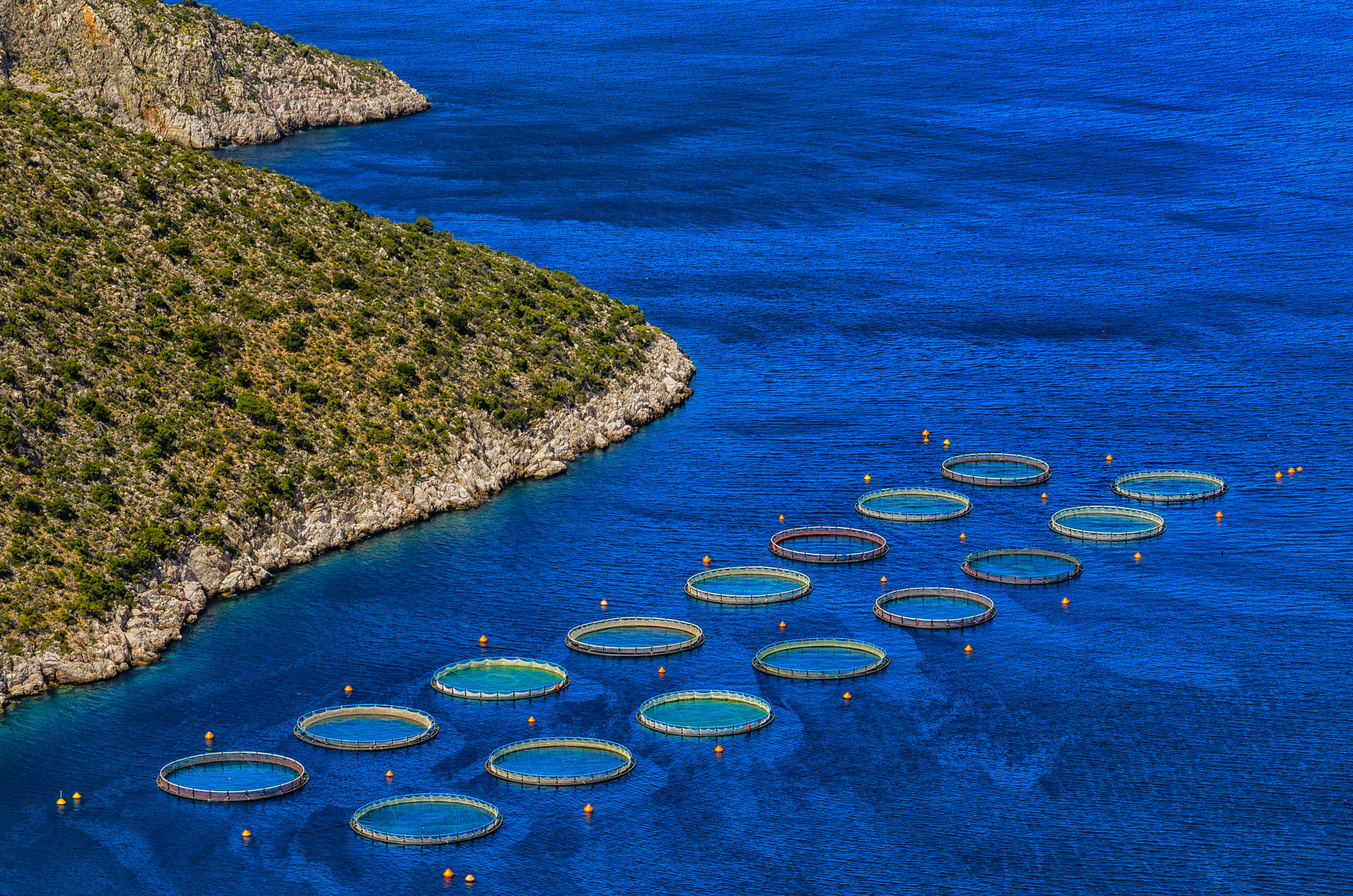 Fish Farming...