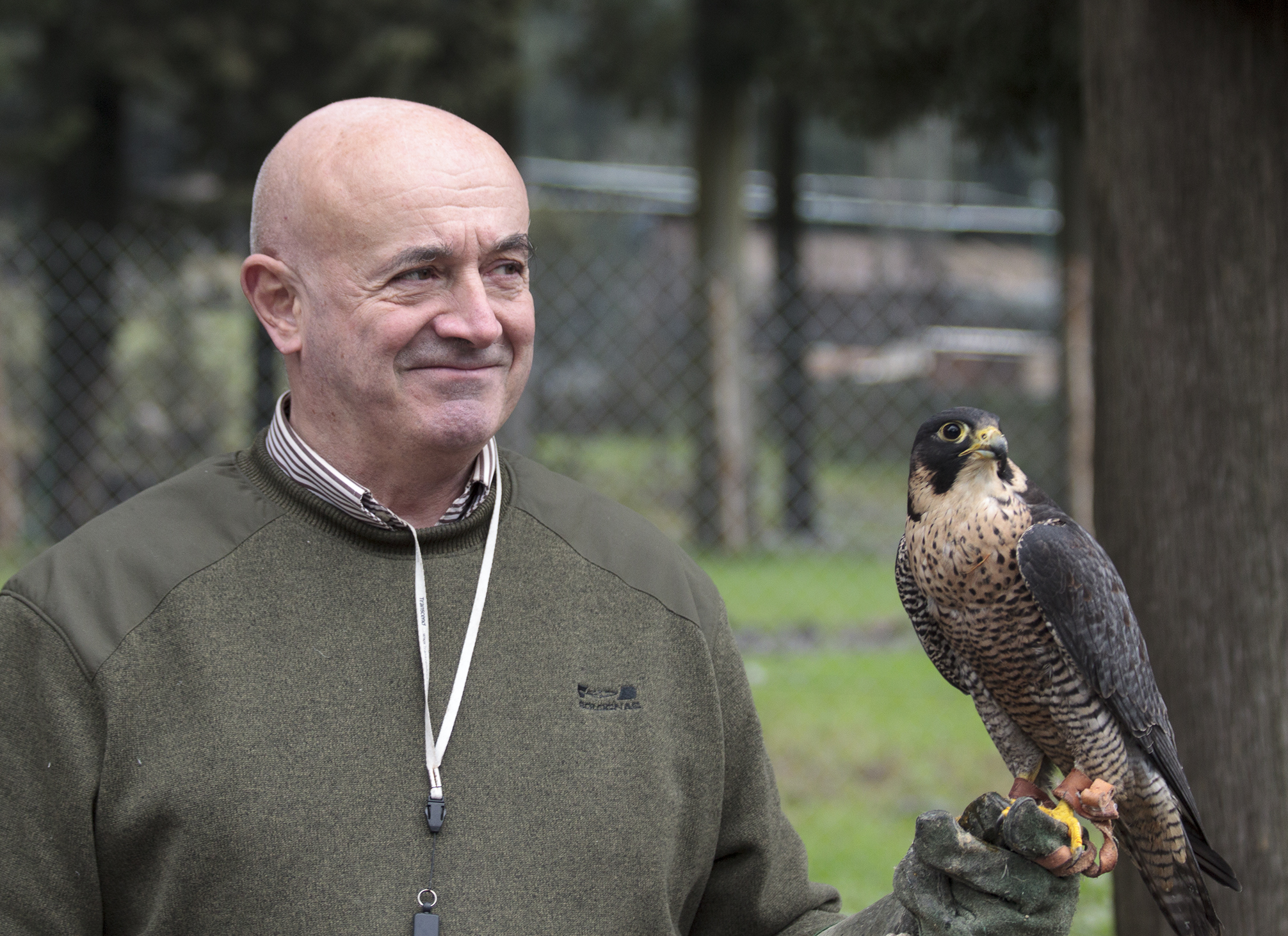 Portrait with Buzzard at the Center of Natural Sciences in Prato...