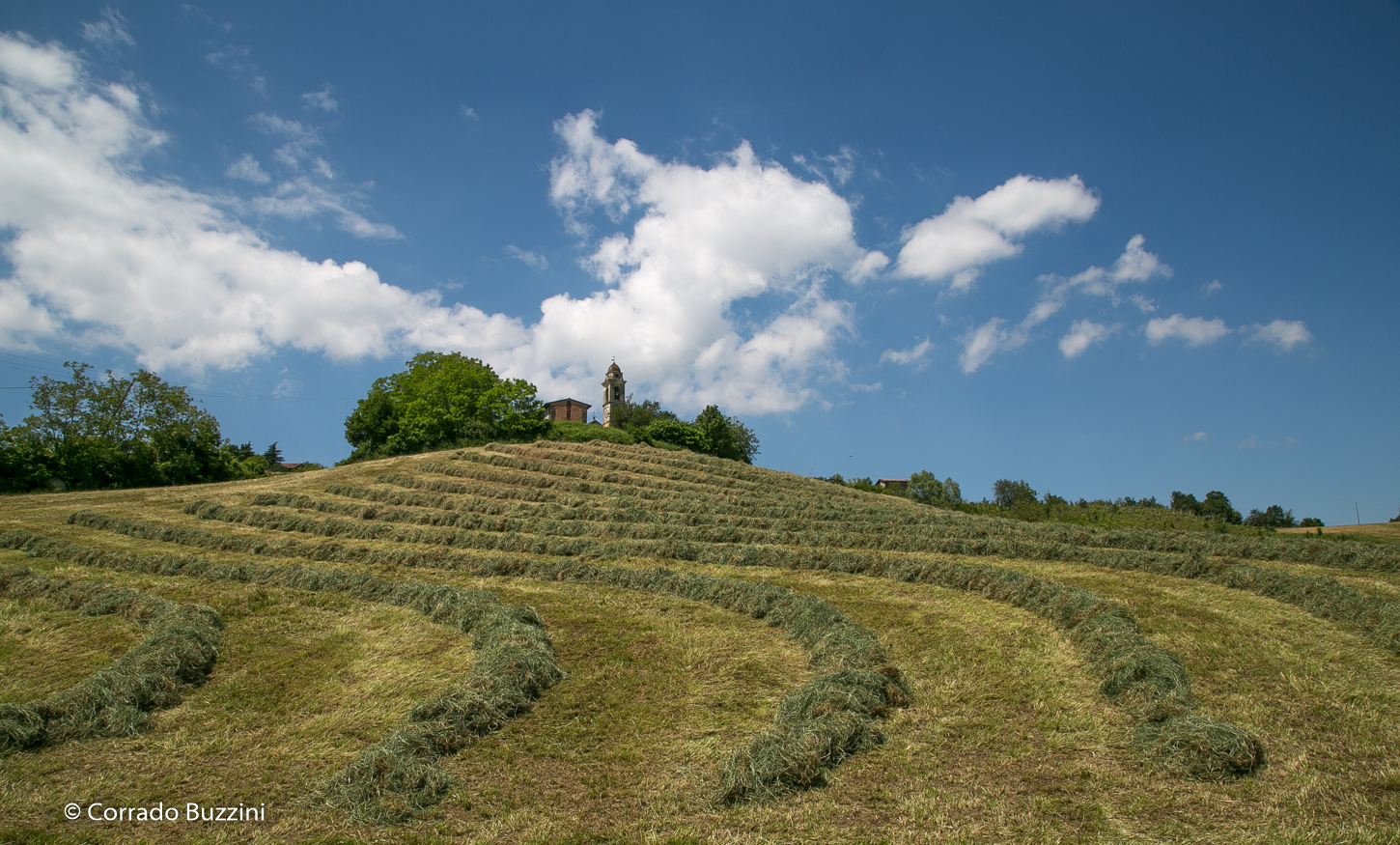 hay harvesting Colli Piacentini...