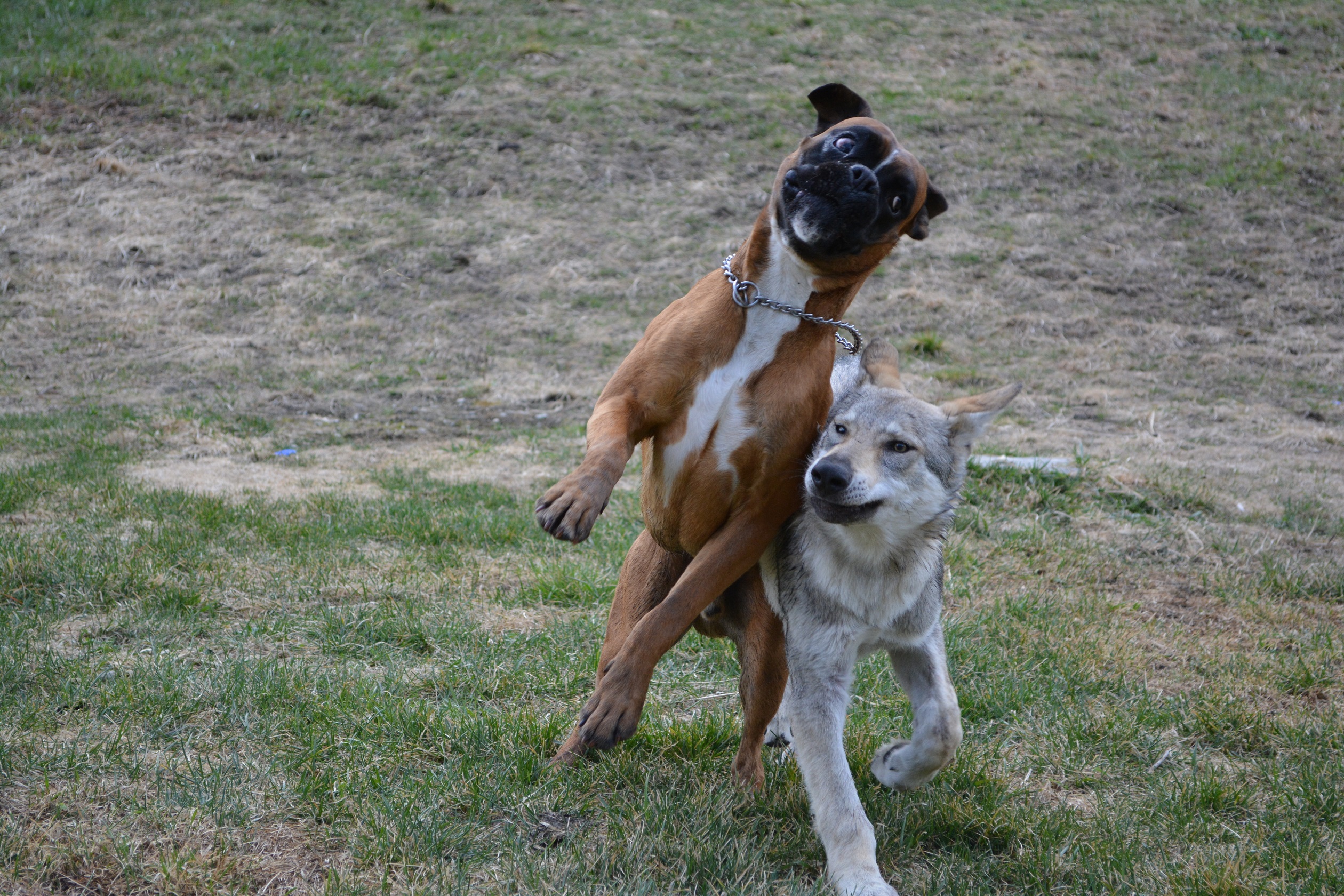 ares vs axel...