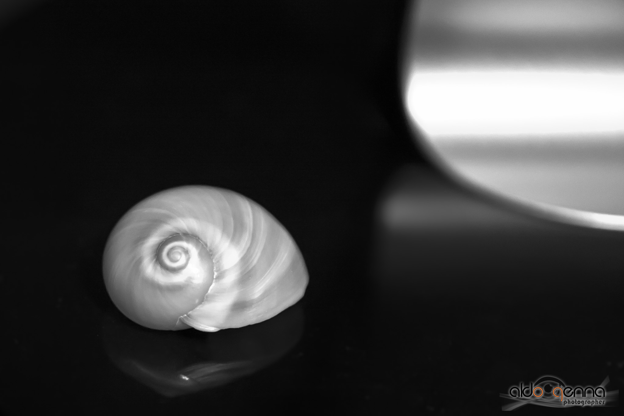Untitled Photo...