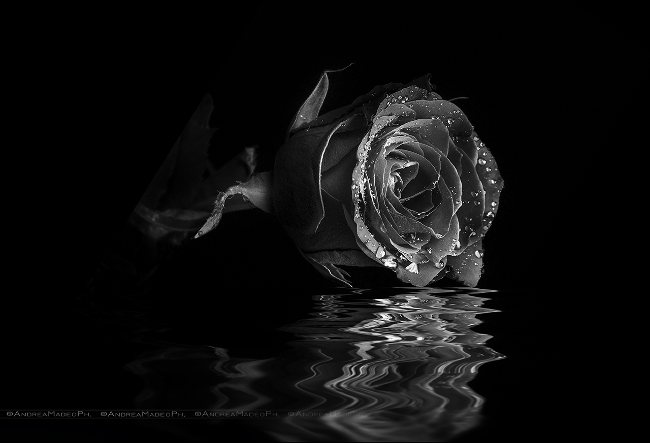 Water's game...