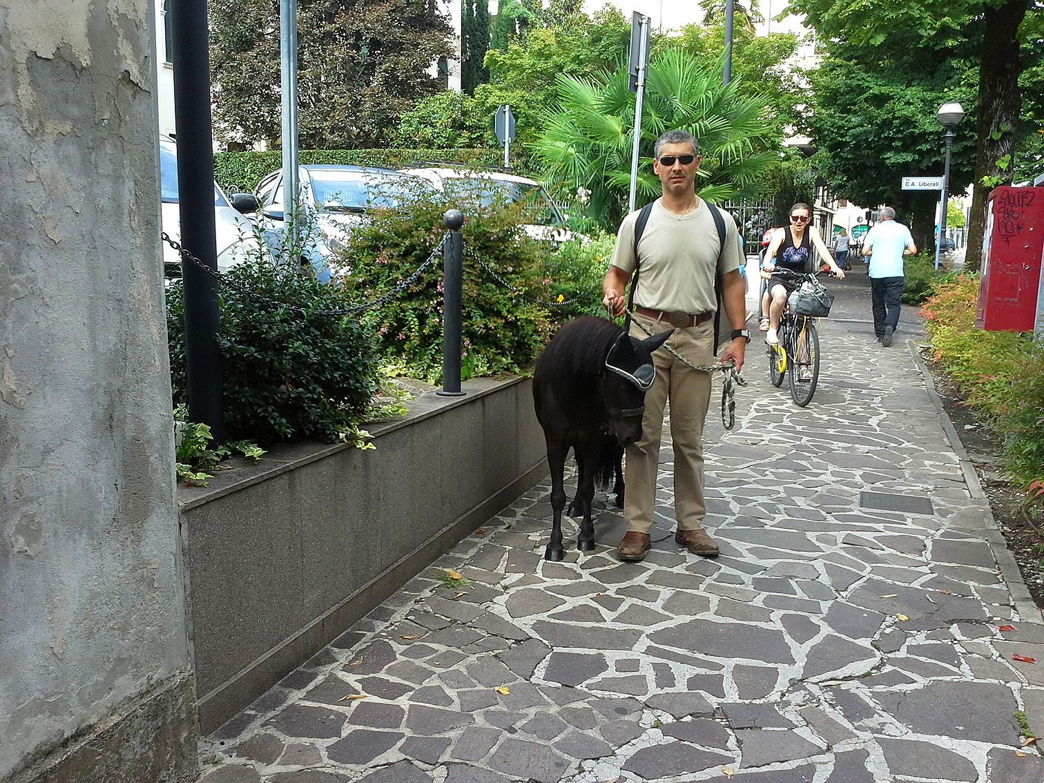 a passeggio in centro, col pony...