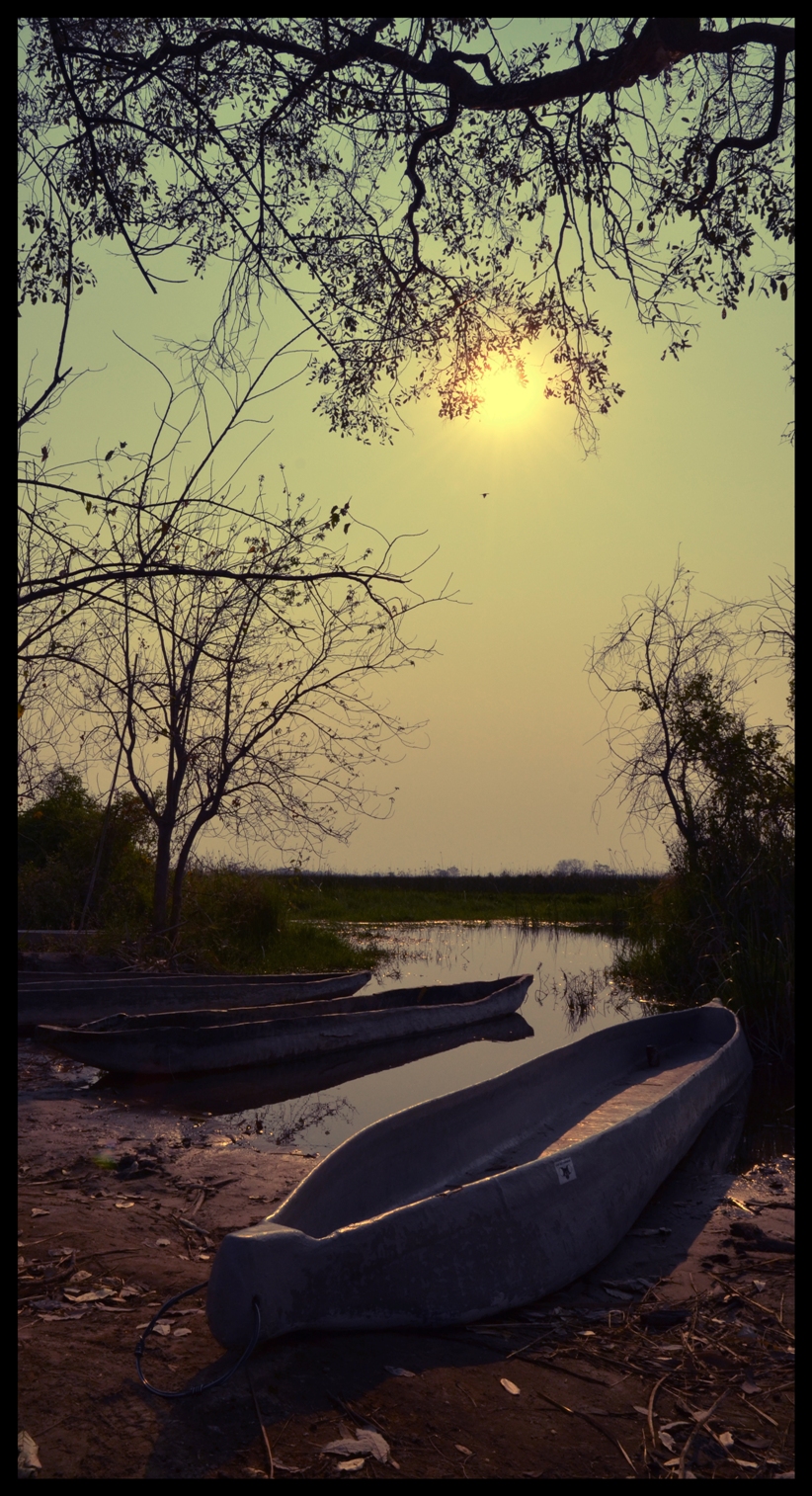 Sunset Okavango...