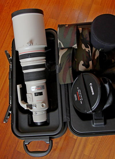 Canon EF 500mm f/4 L IS USM
