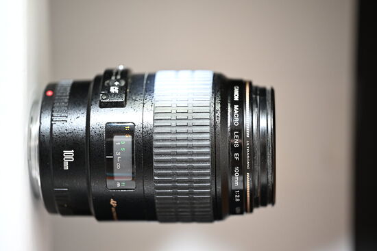 lens