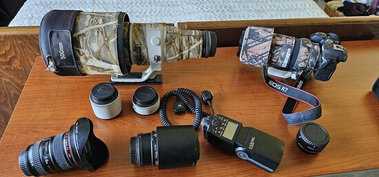 lens