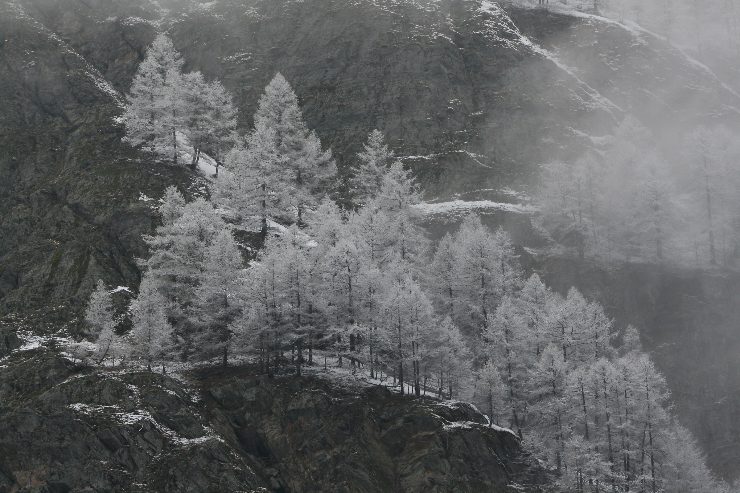 Untitled Photo...