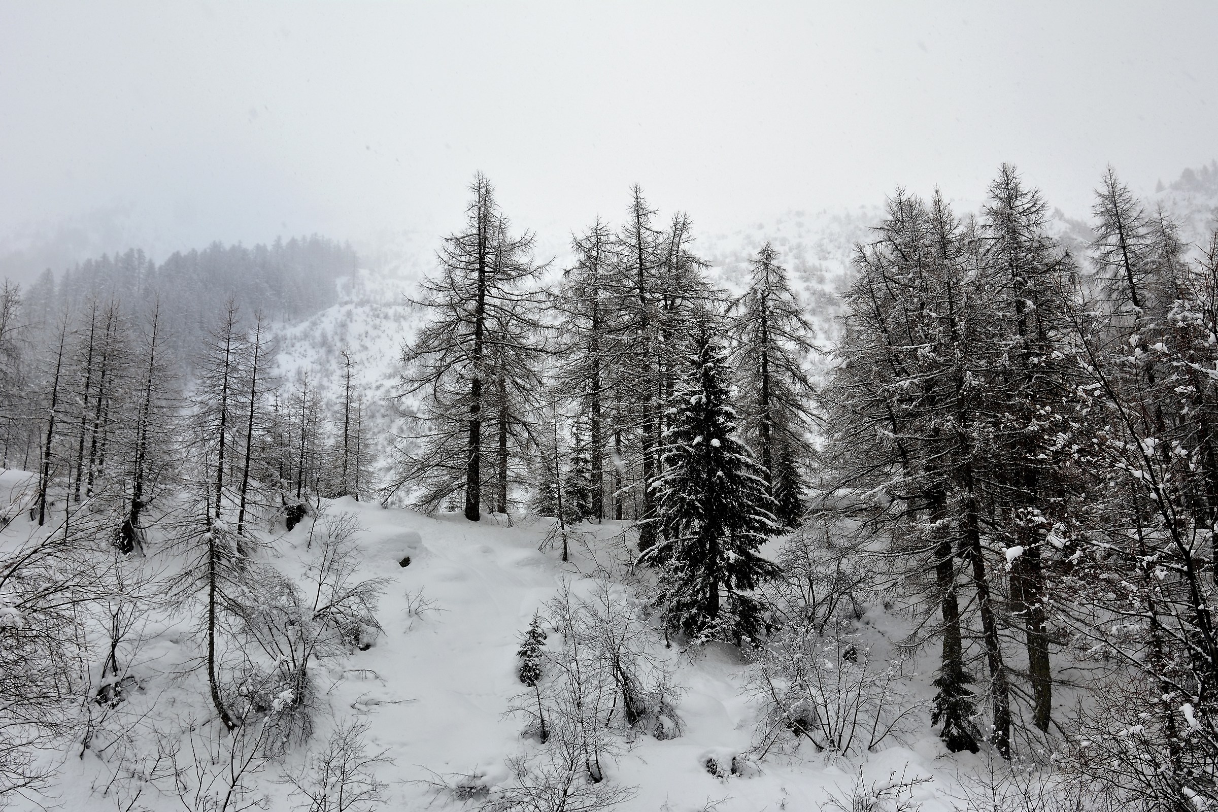 Snow in Val Ferret...