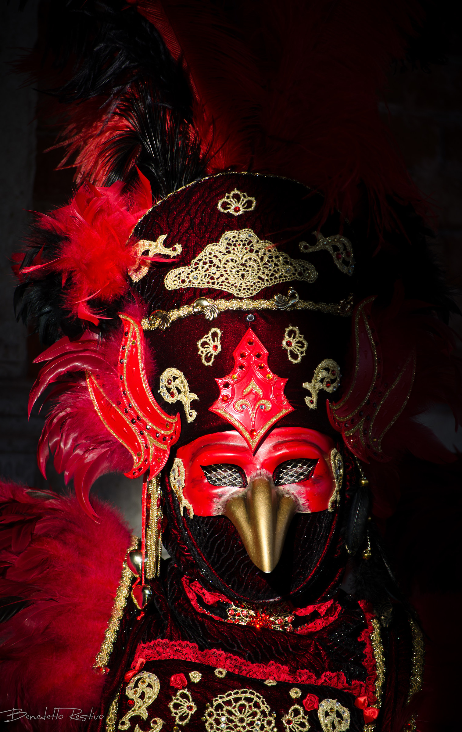carnevale di Venezia, red crow........