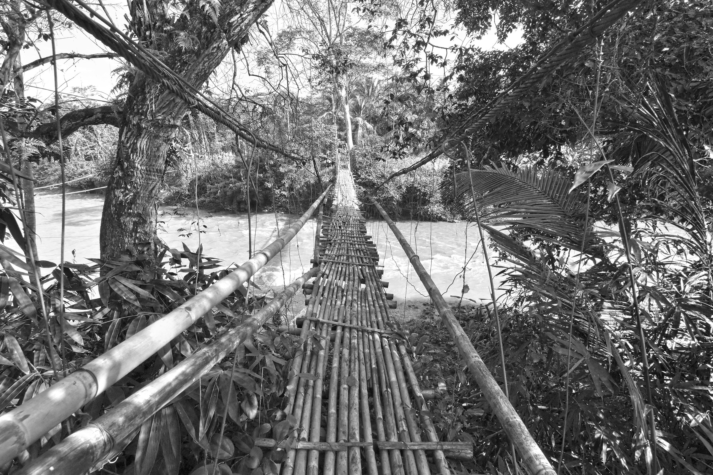 ponte...