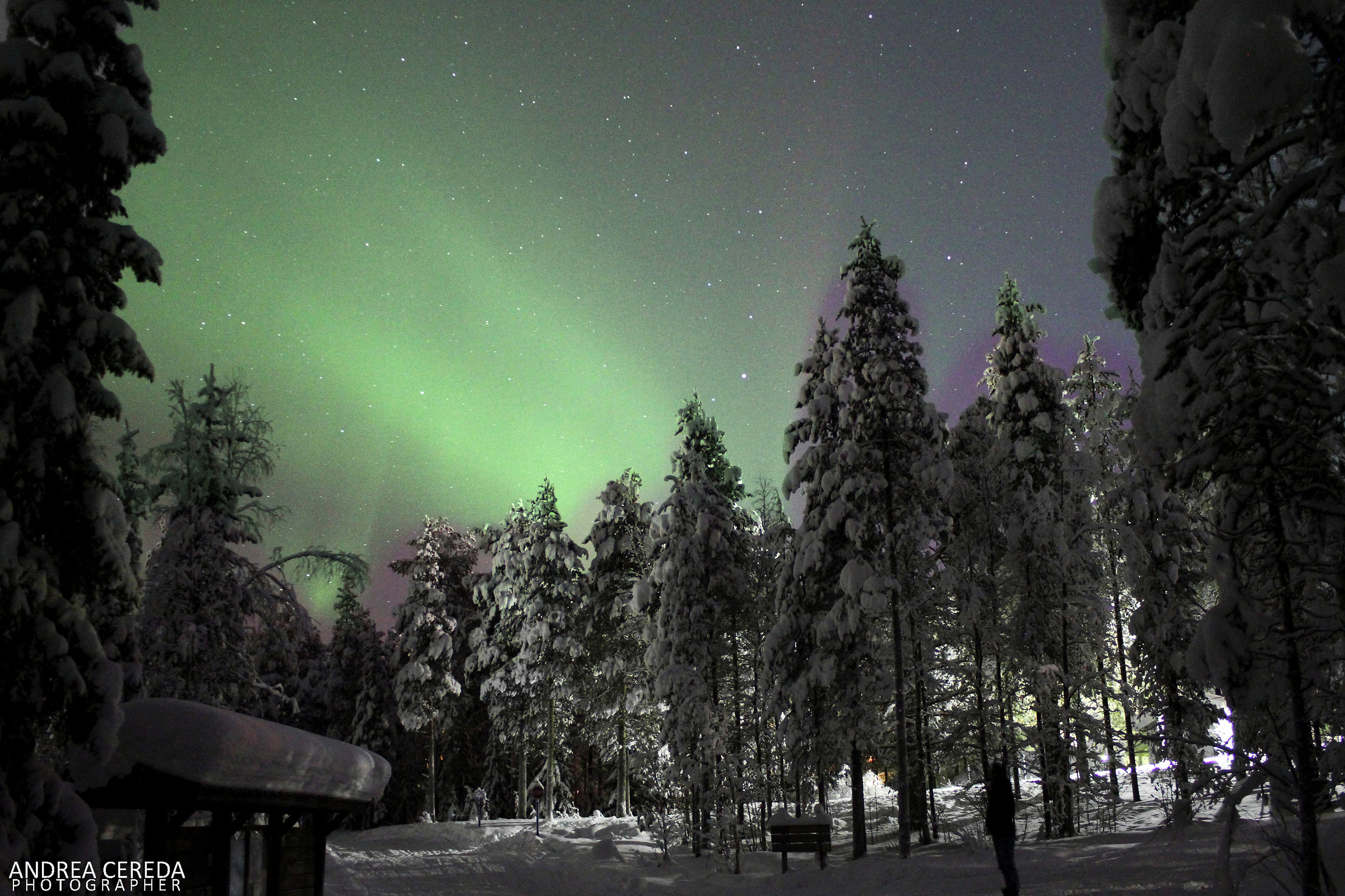 Northern lights...