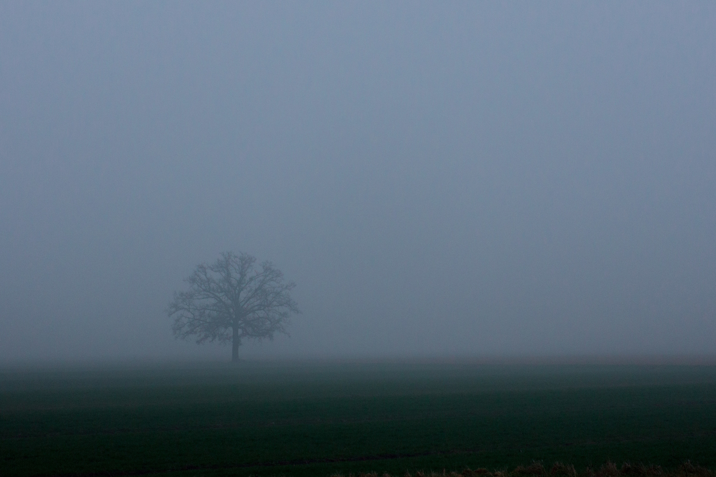 Fog in the plains 2...