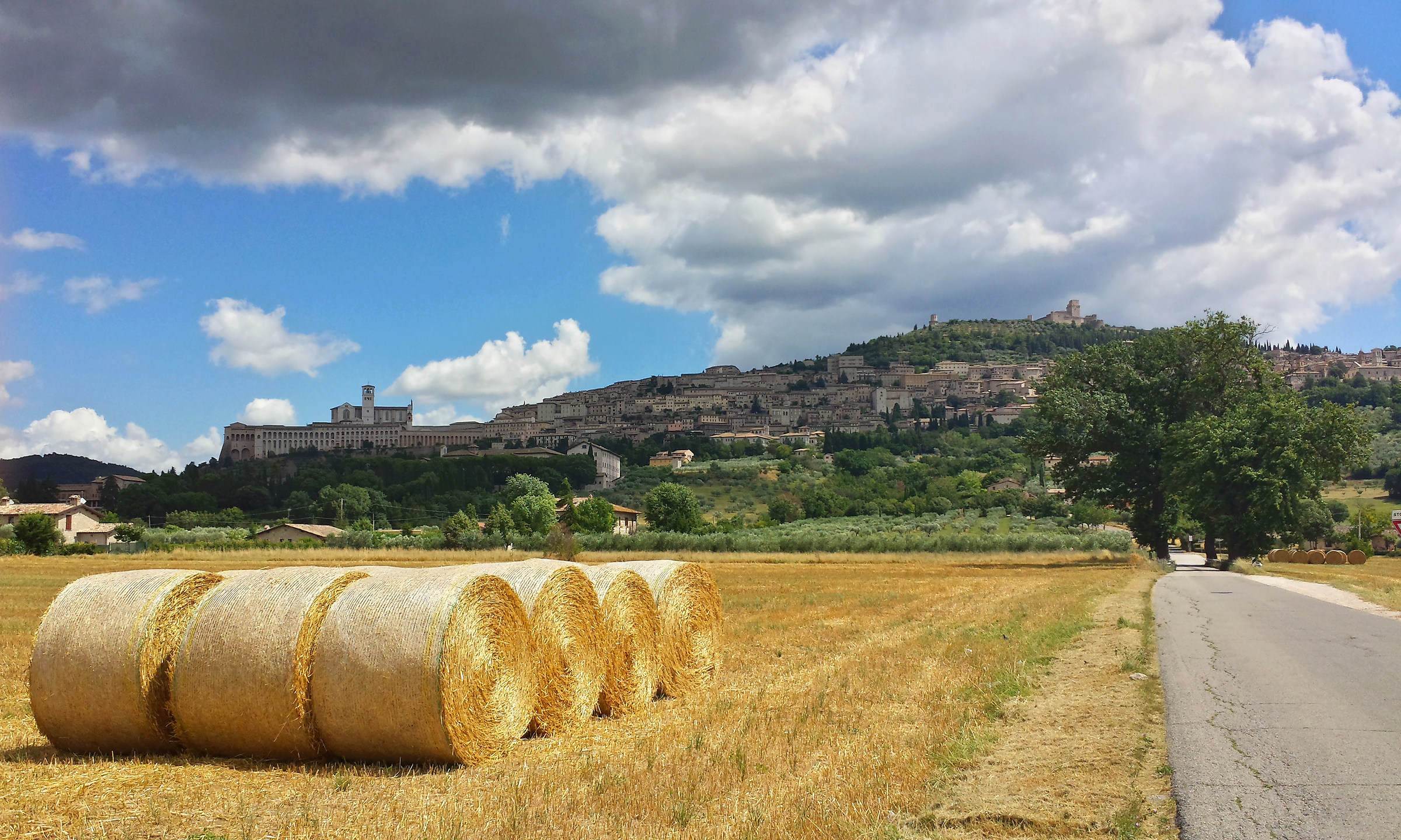 Assisi and the grain...