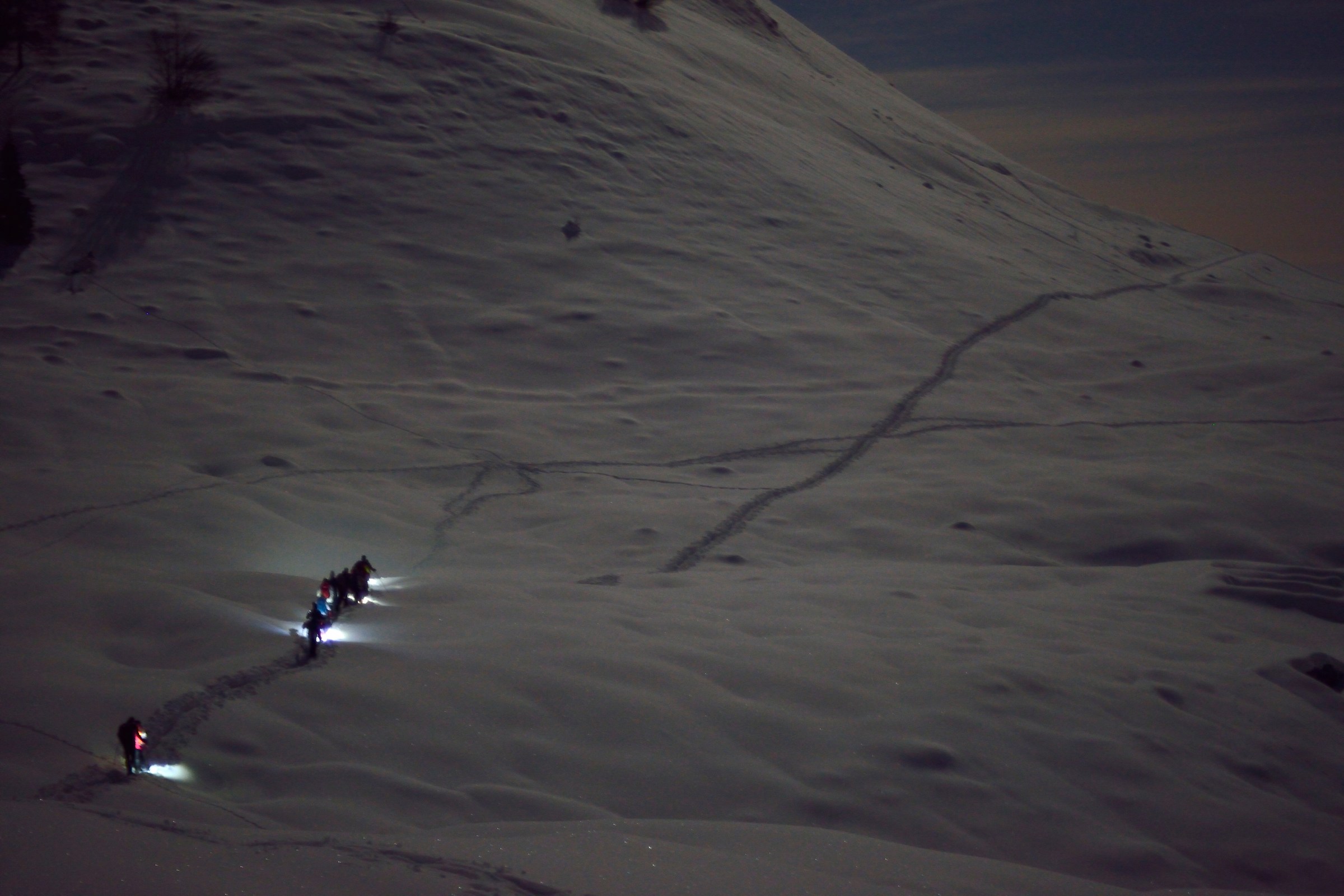 Snowshoeing under the stars ......