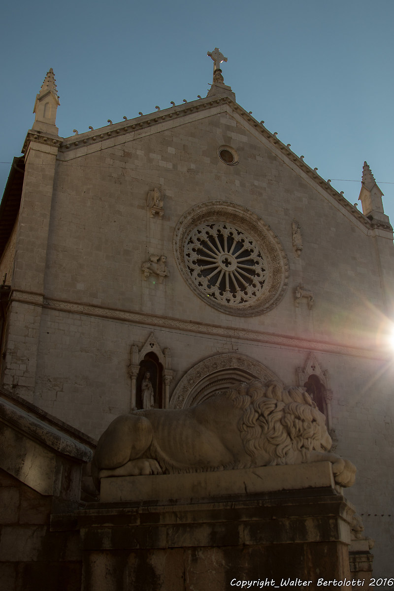 the lion of Norcia...