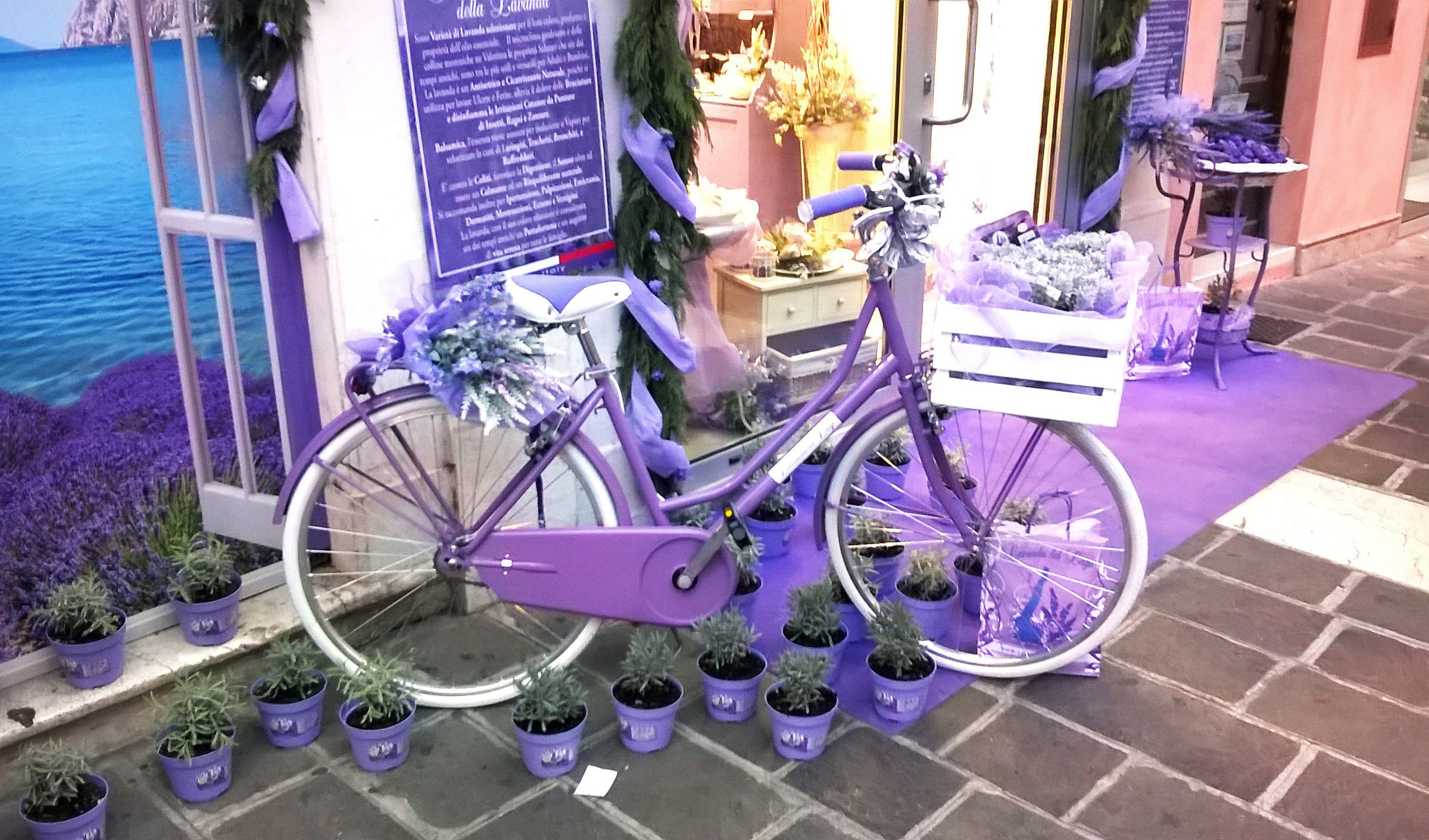 A bike to the scent of lavender...