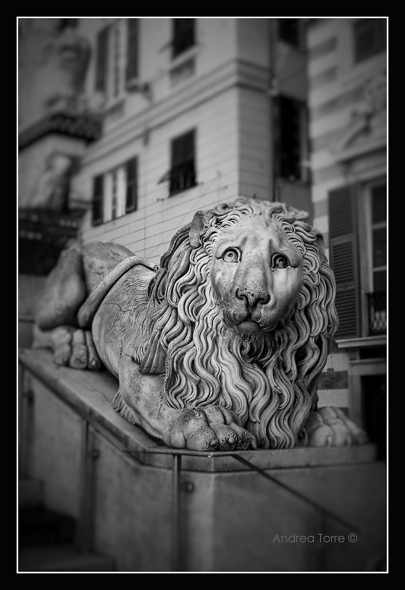 Leone cattedrale di San Lorenzo (Genova)...