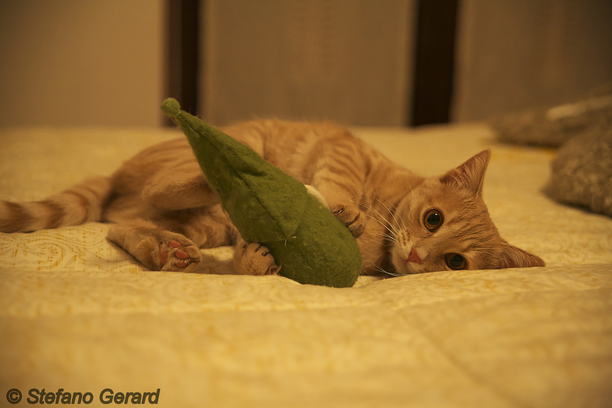 Cherie...