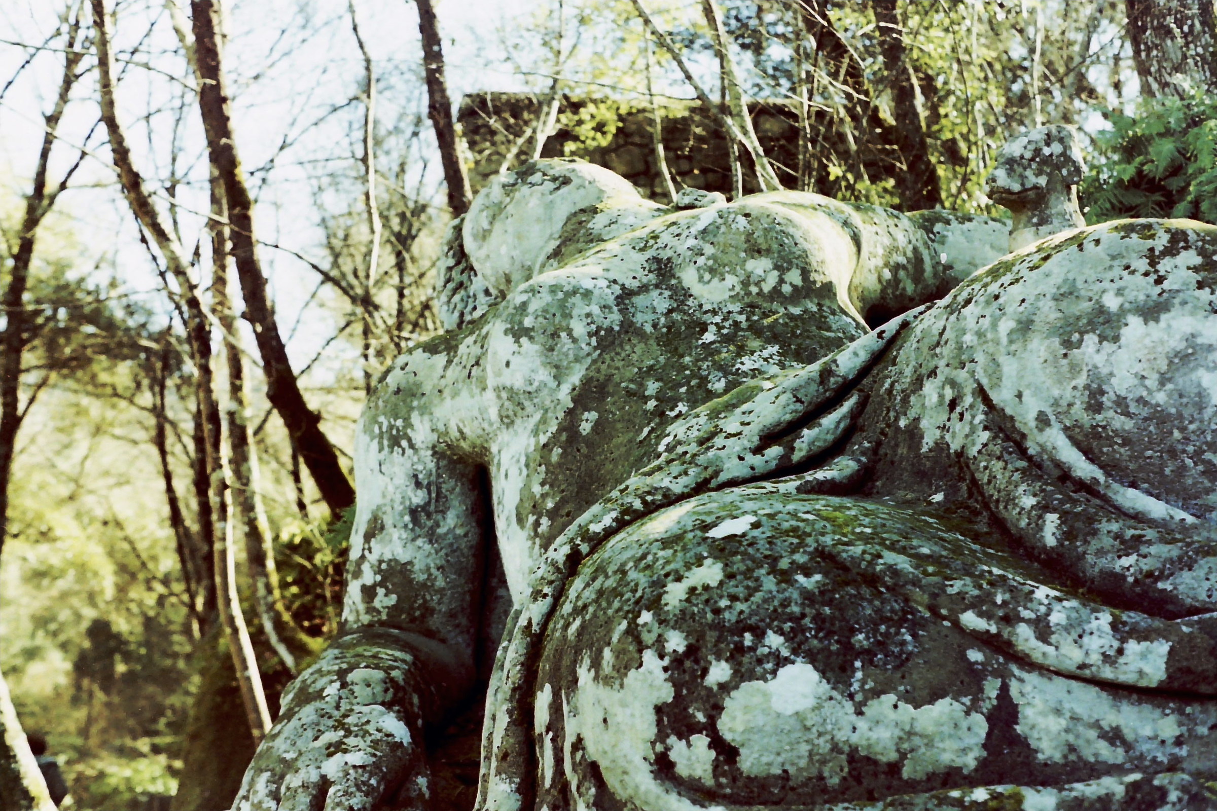 Garden of monsters...
