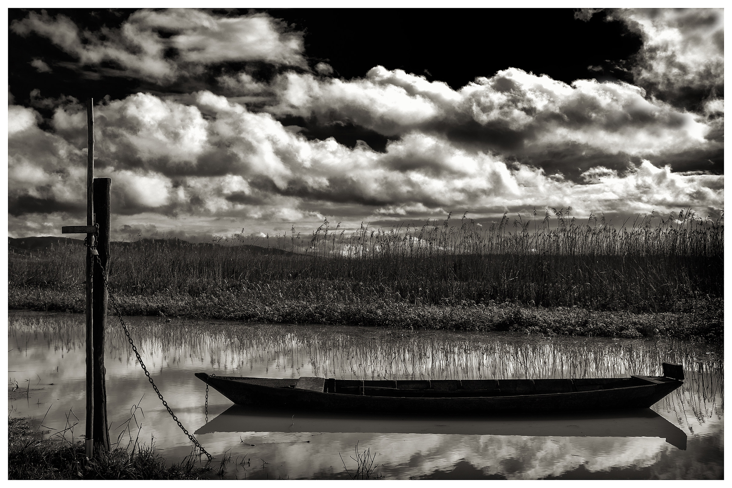 In the marshes of Fucecchio...