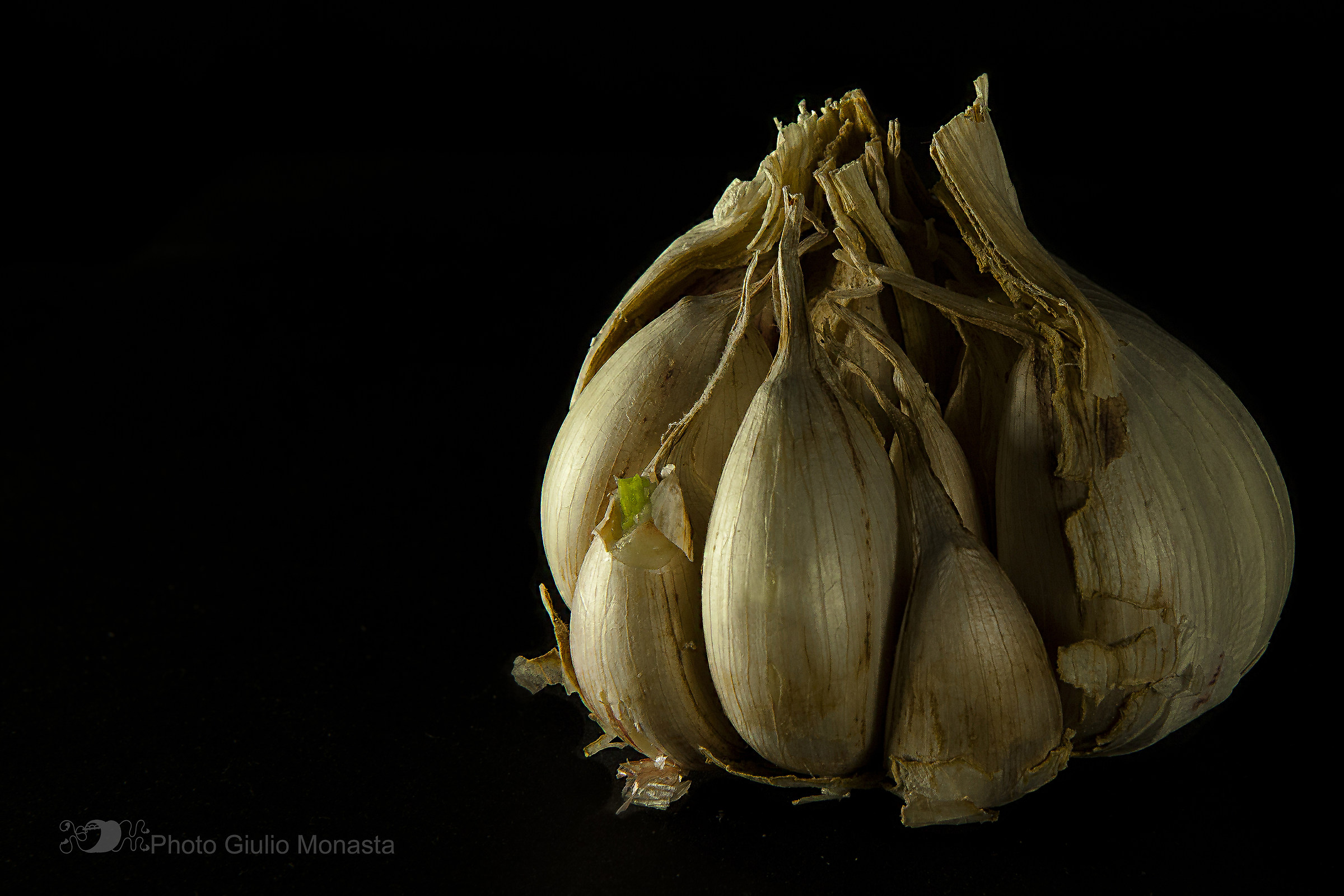 Head of Garlic...