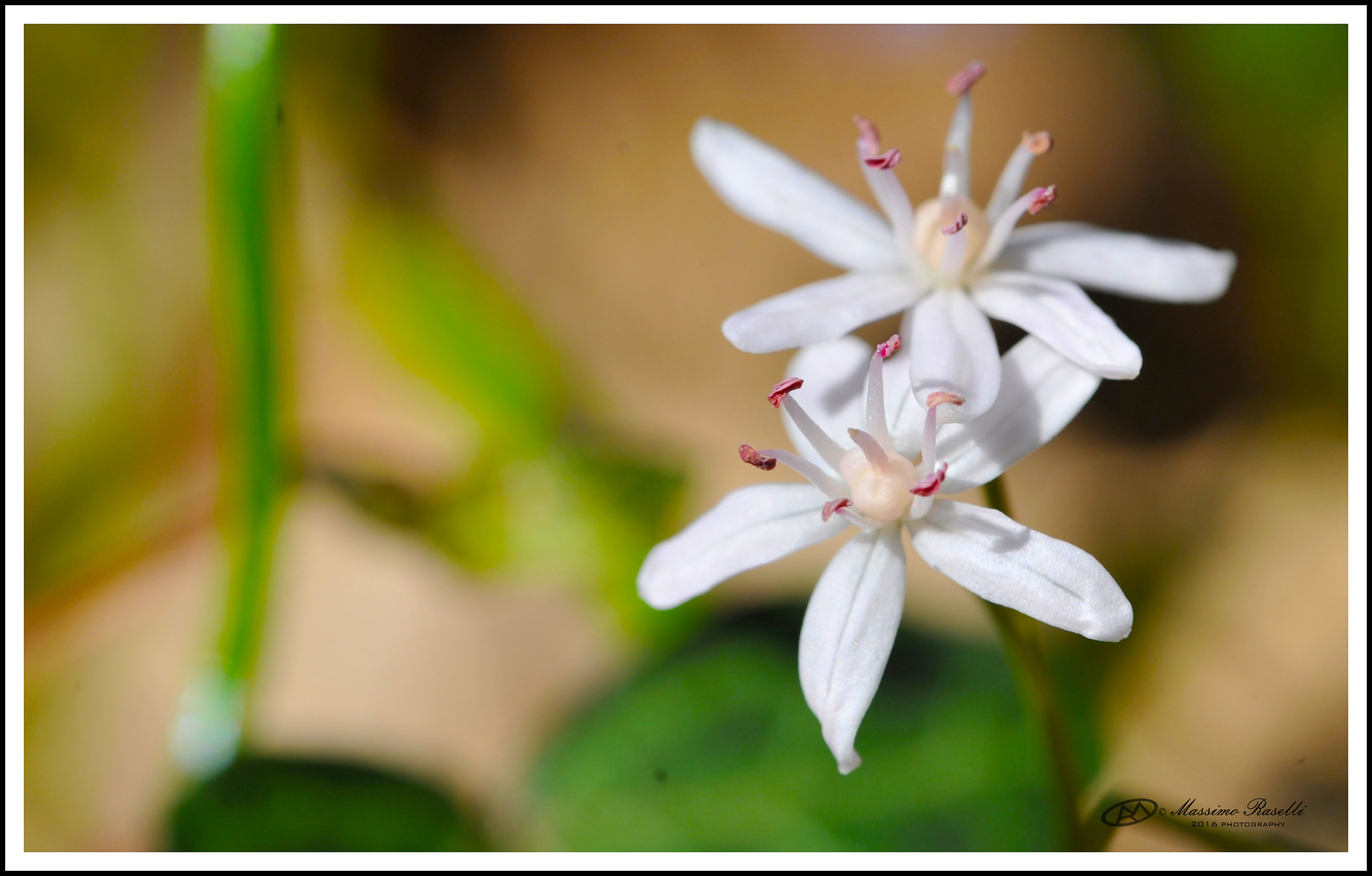 Untitled Photo...