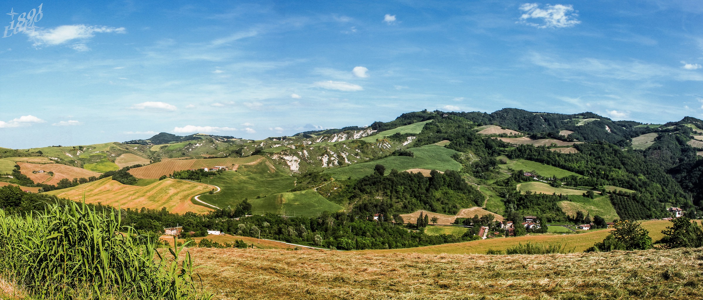 Colline marchigiane...