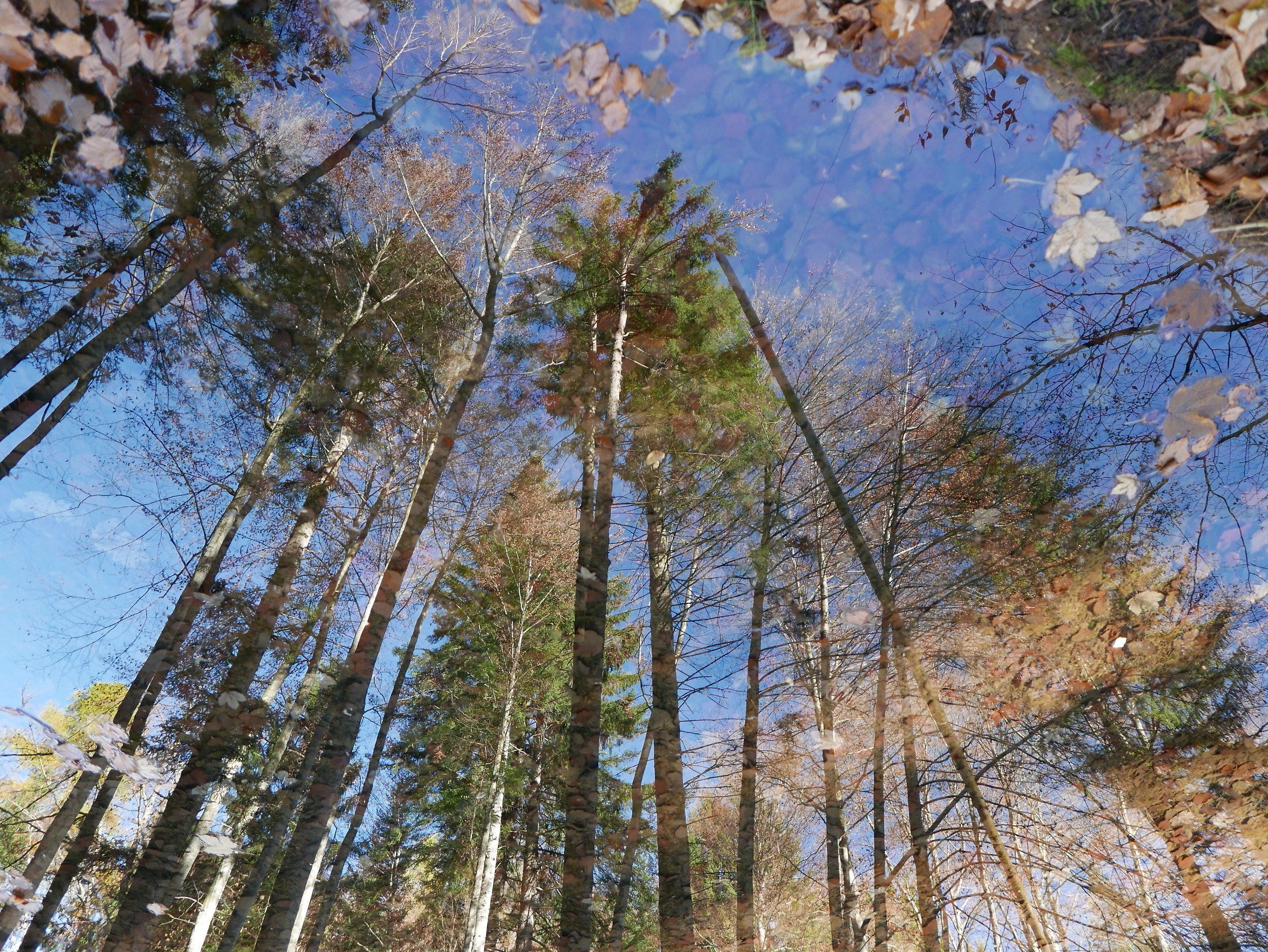 riflessi 2...