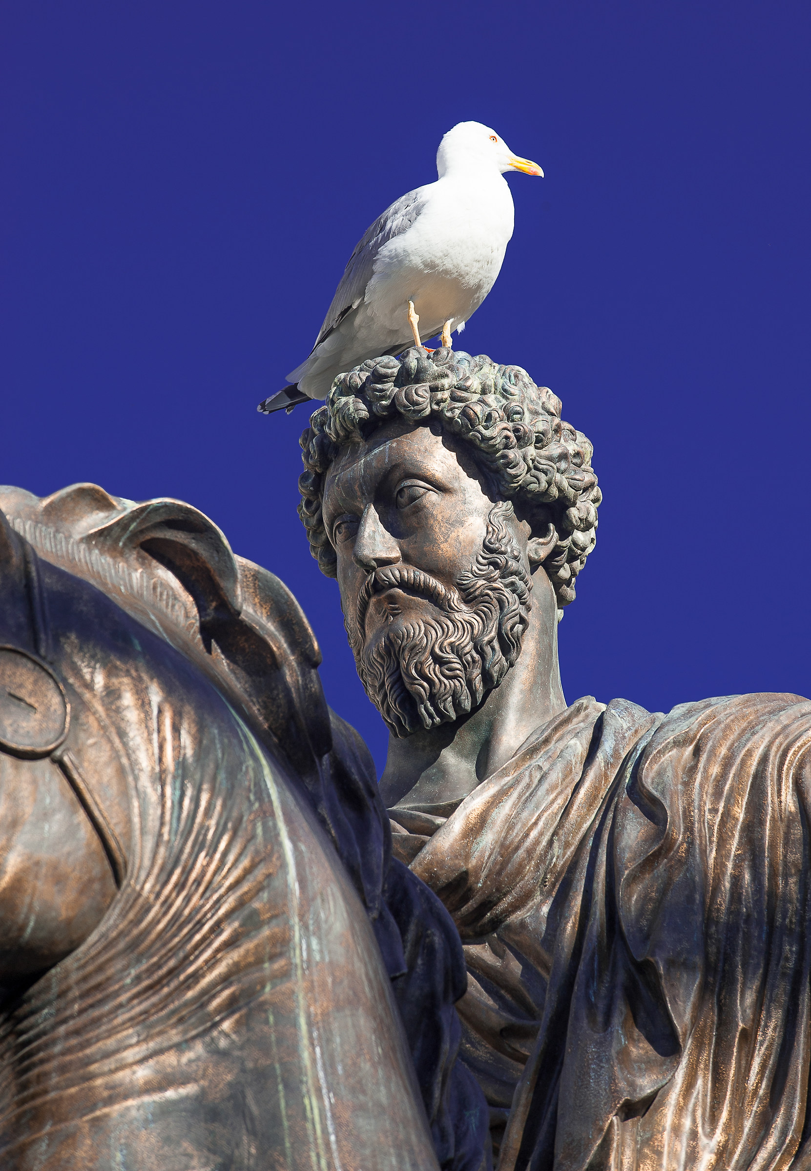 Roma Campidoglio:Tempi duri per Marco Aurelio...!!...