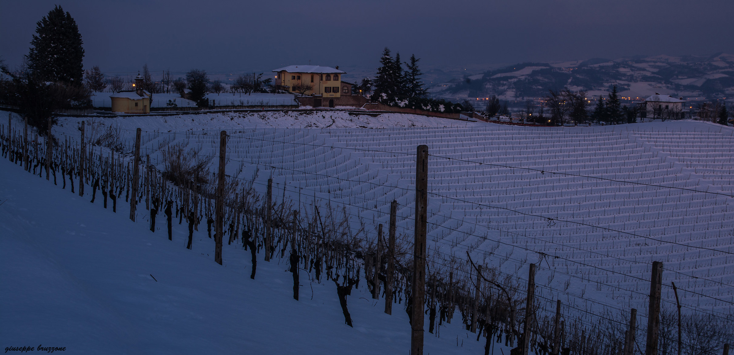 Blue hour in the vineyard...
