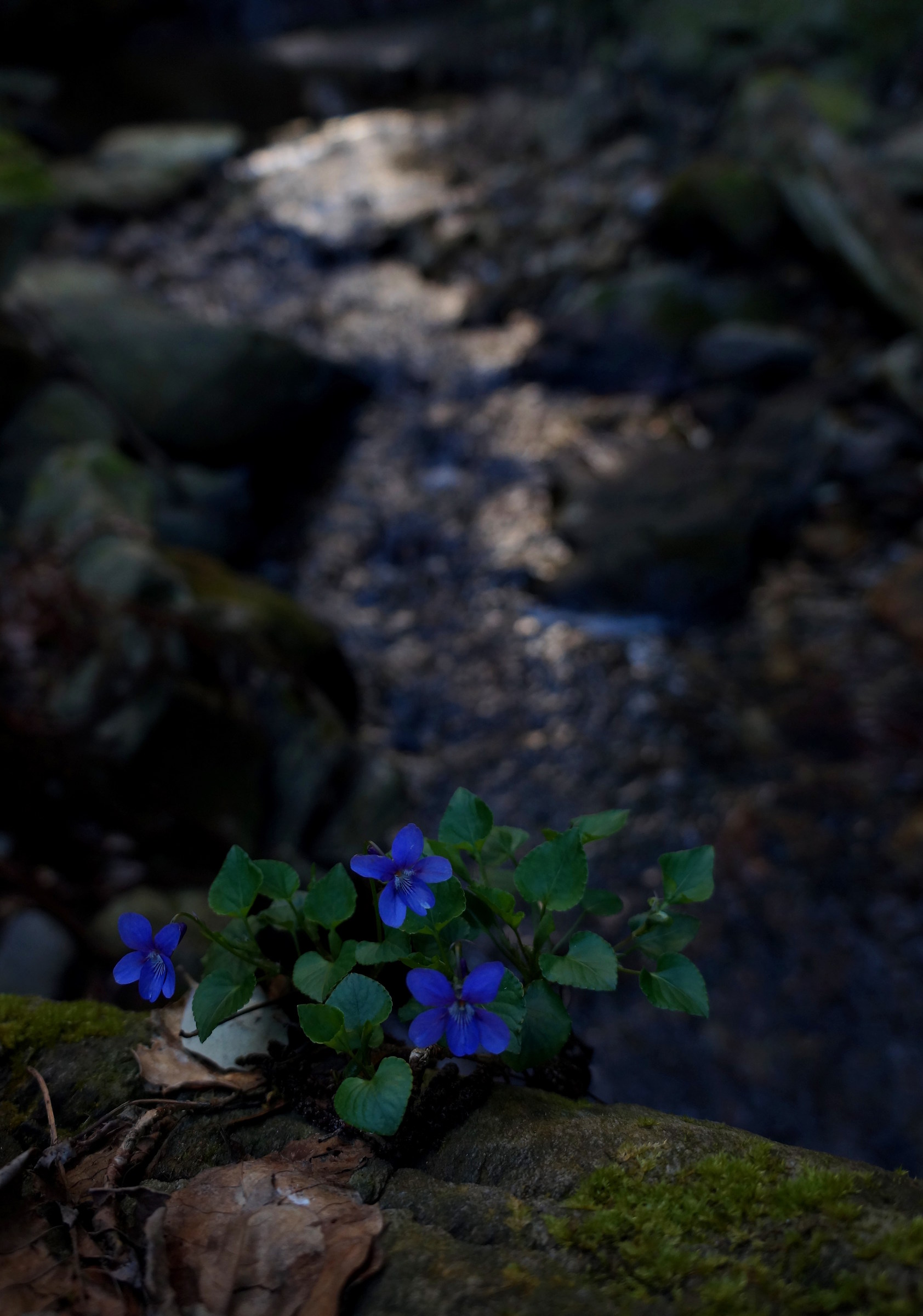 Untitled Photo...
