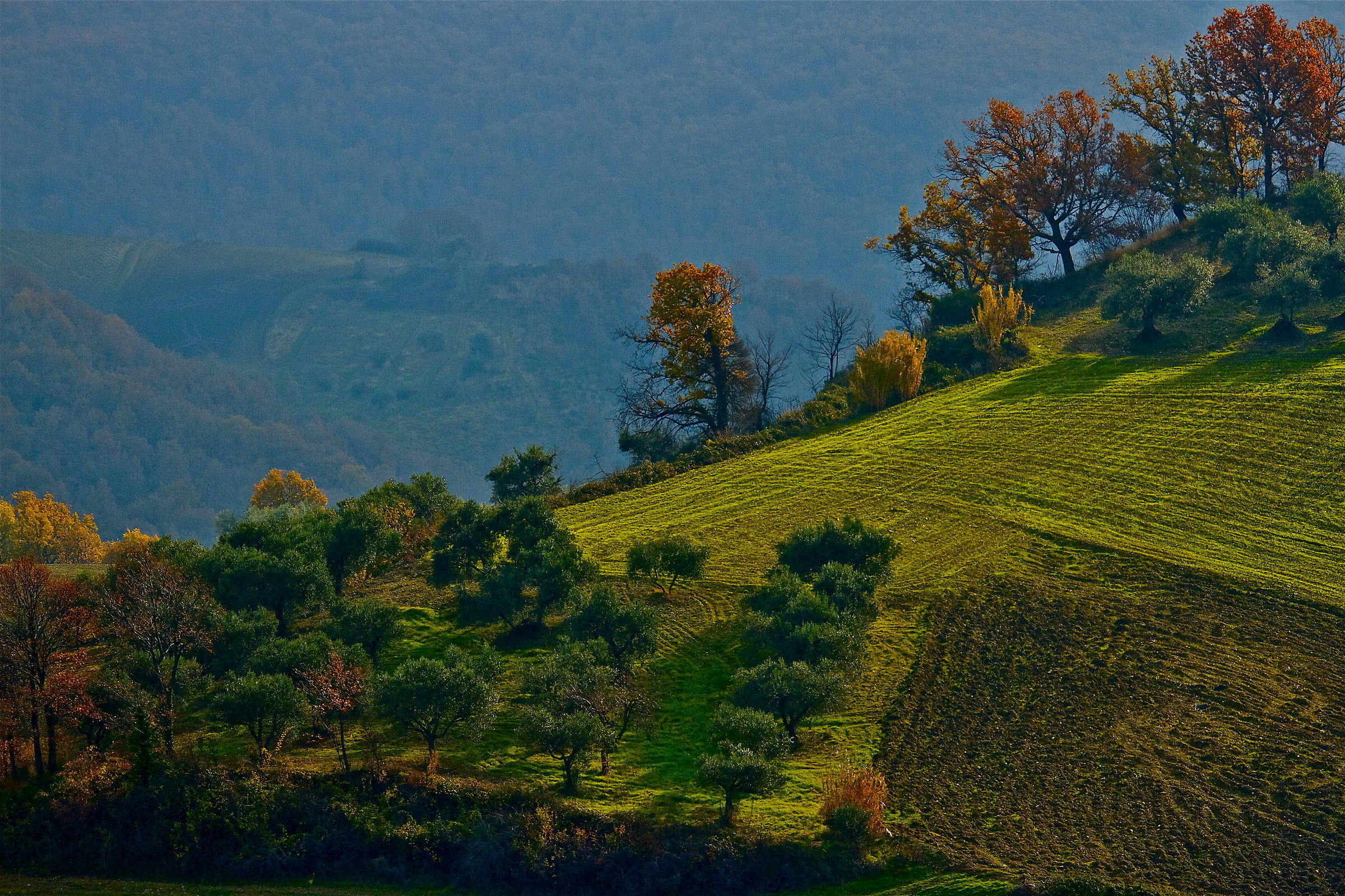 colline...