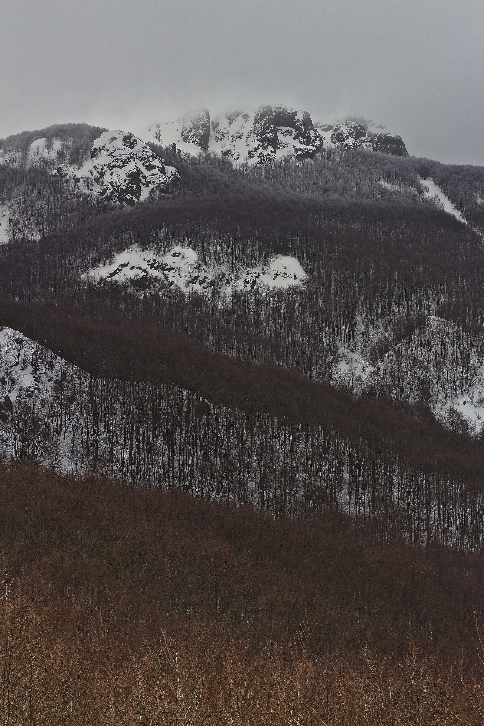Untitled Photo...