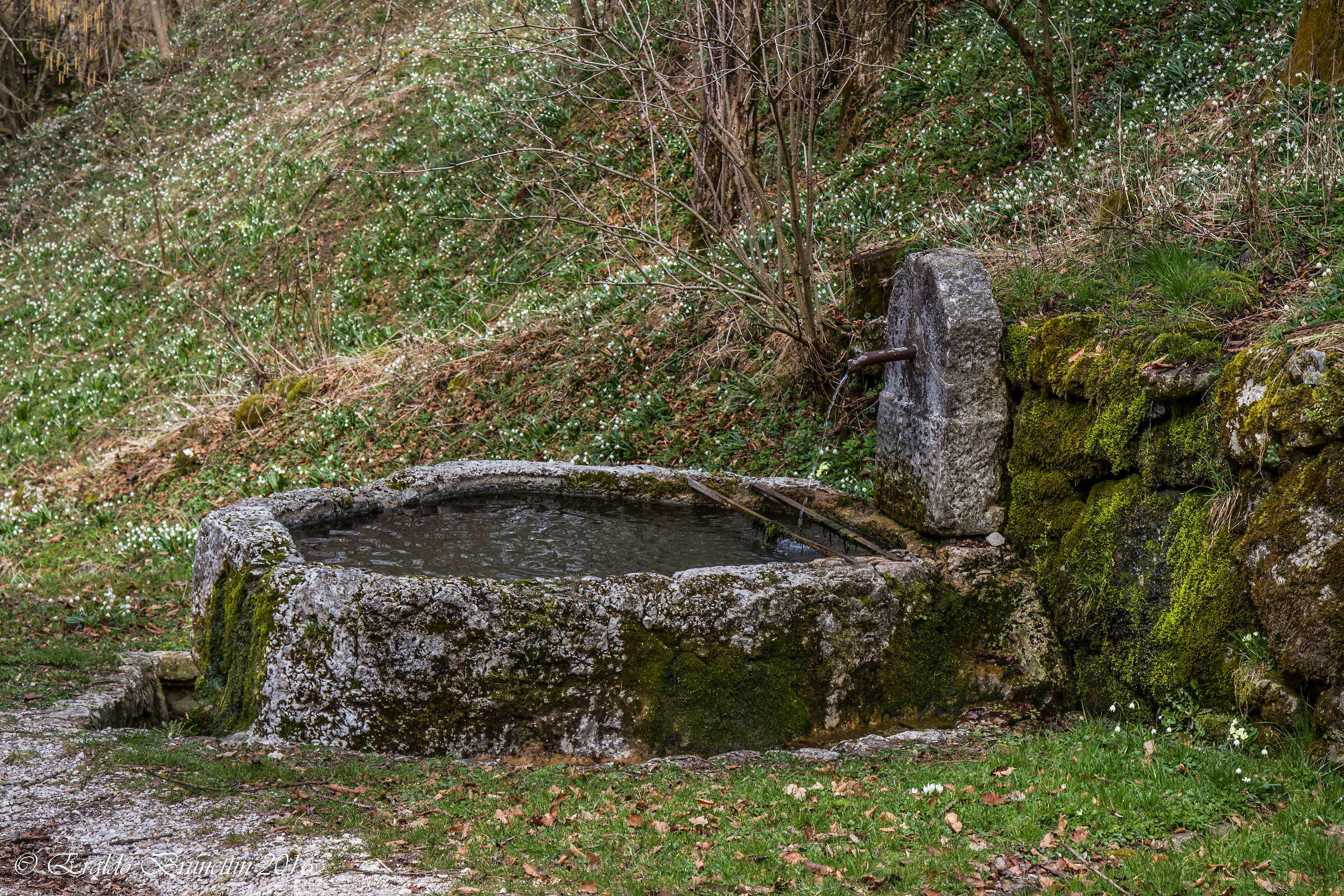 Ancient fountain Bosplans (pn)...