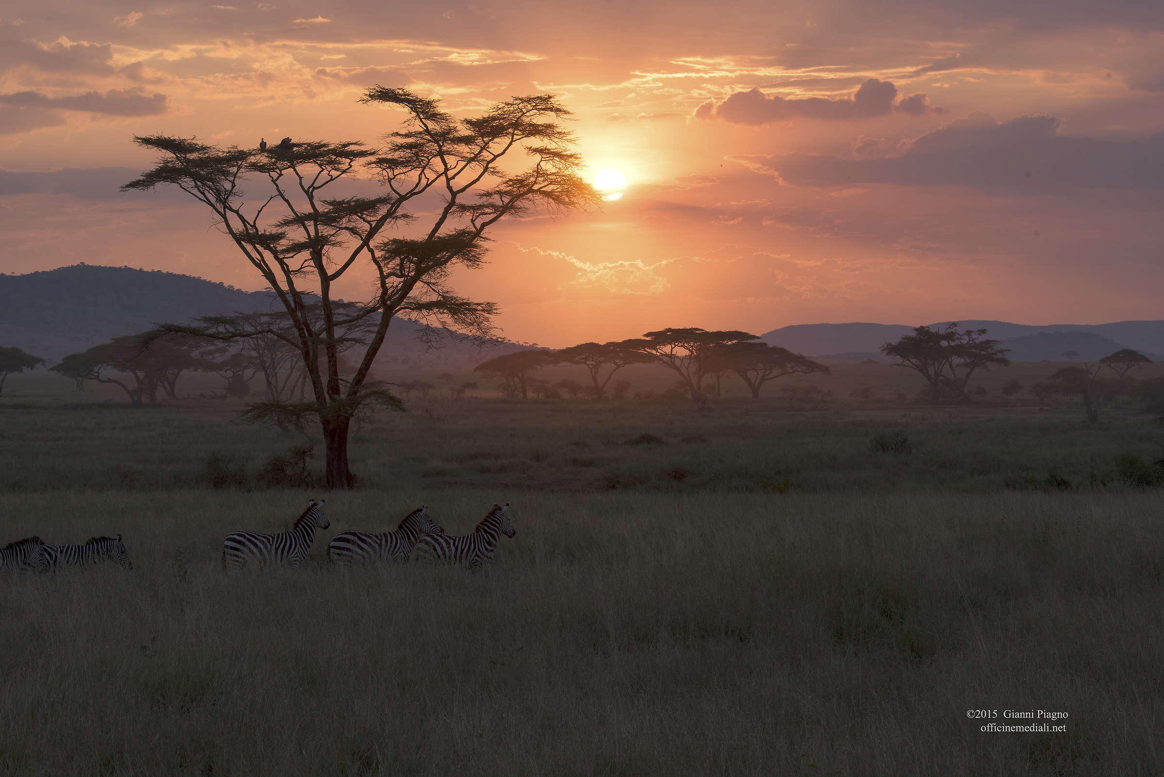 Sunset on the Serengeti...
