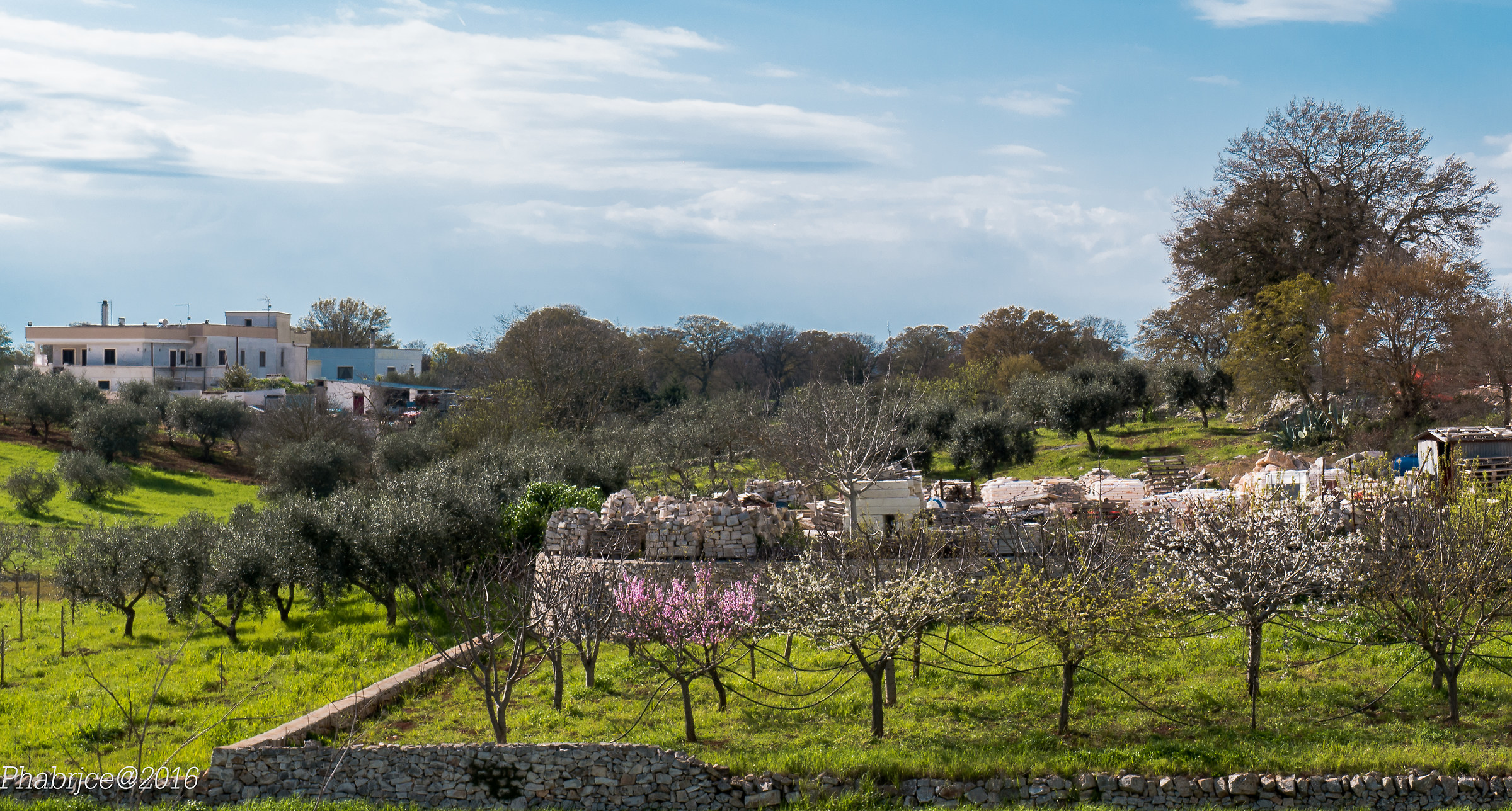 Paesaggio in Valle d'Itria...