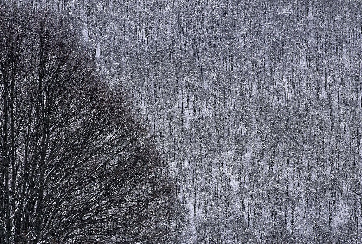 .: Winter Patterns:....
