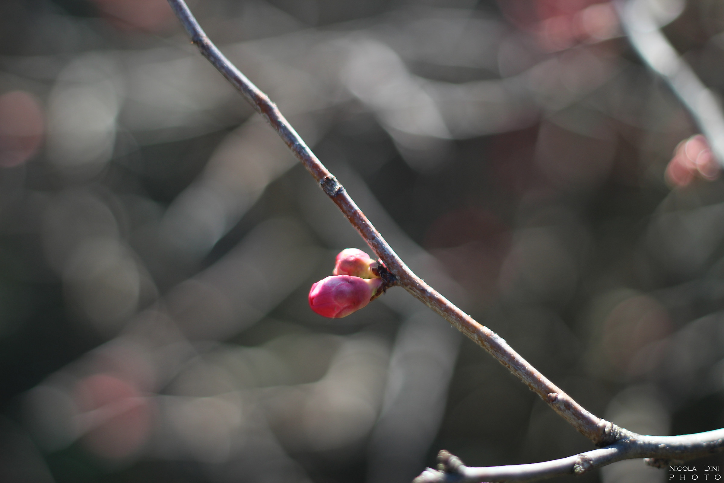 Aria di primavera...