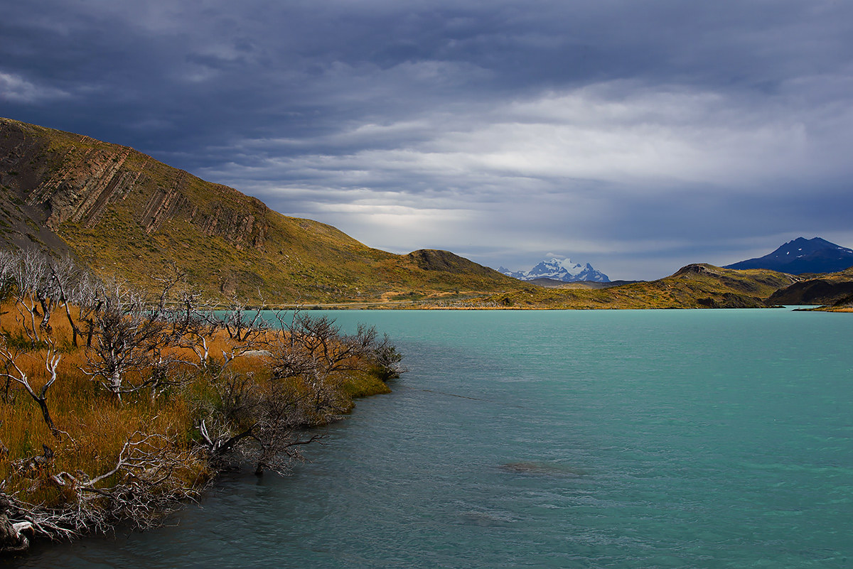 Patagonia Chilena - Torres del Paine National Park...