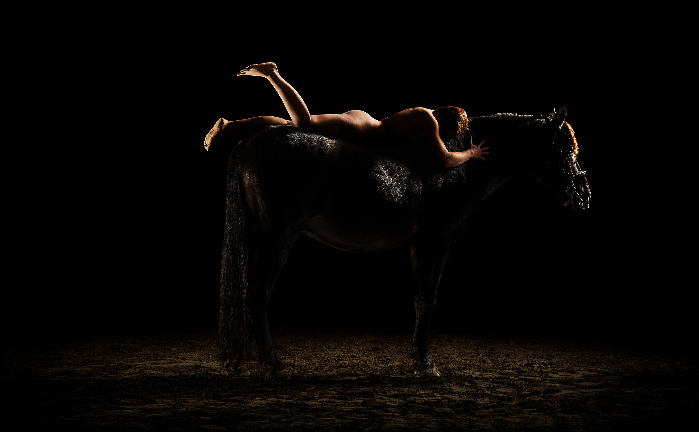 Cavalli/cavalle_01...