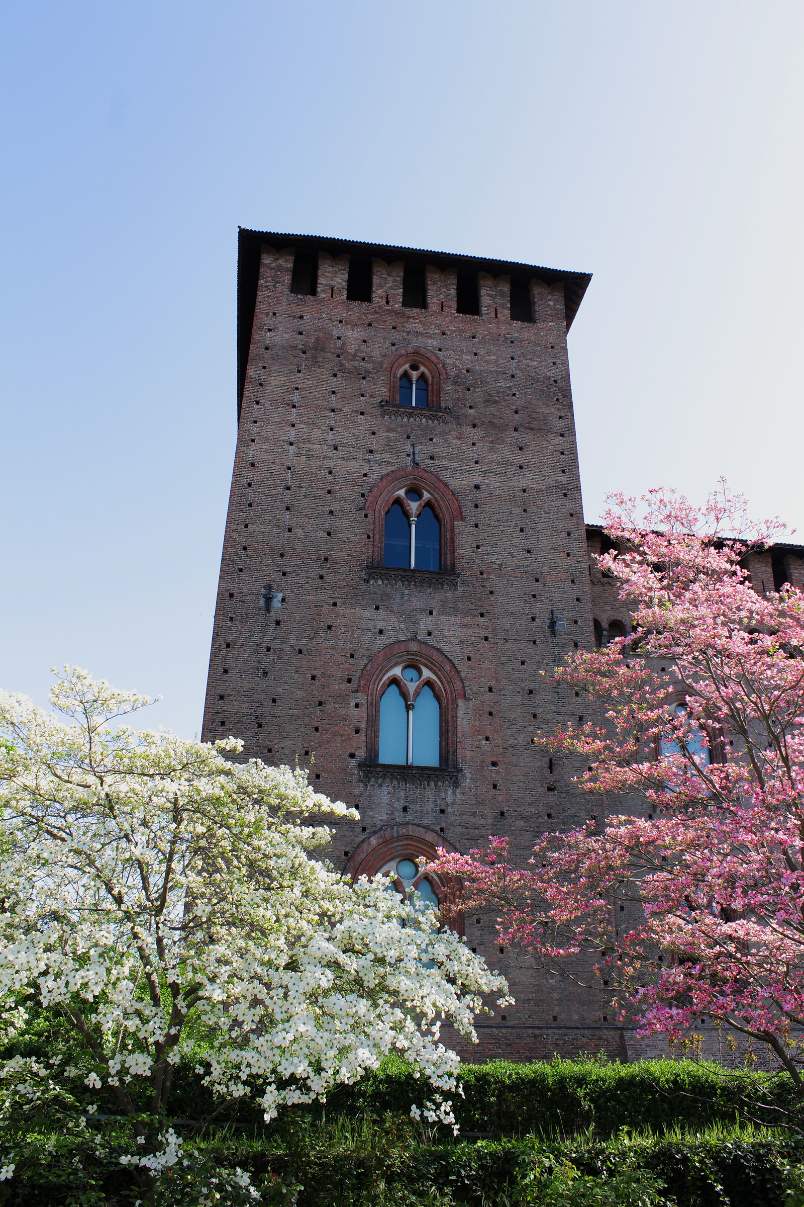 Primavera a Pavia...