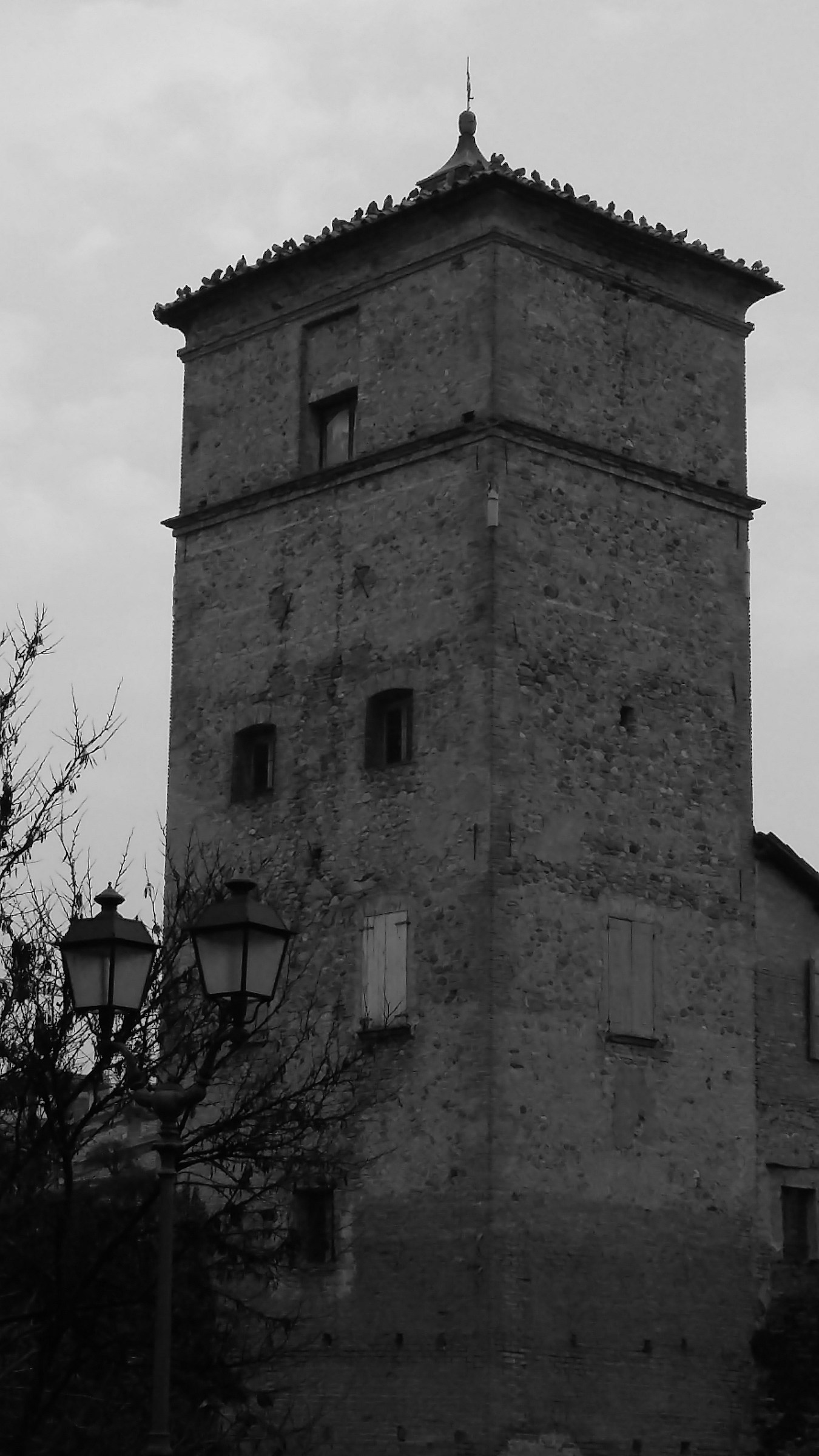 la torre del Galvani - Vignola MO...