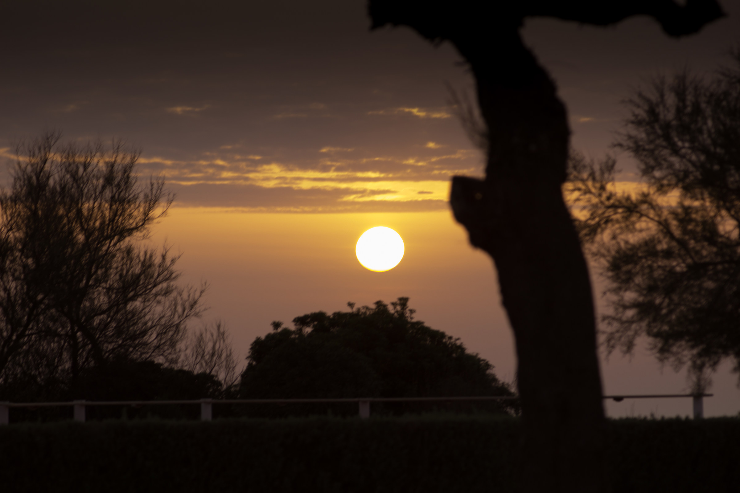 sunset 1...