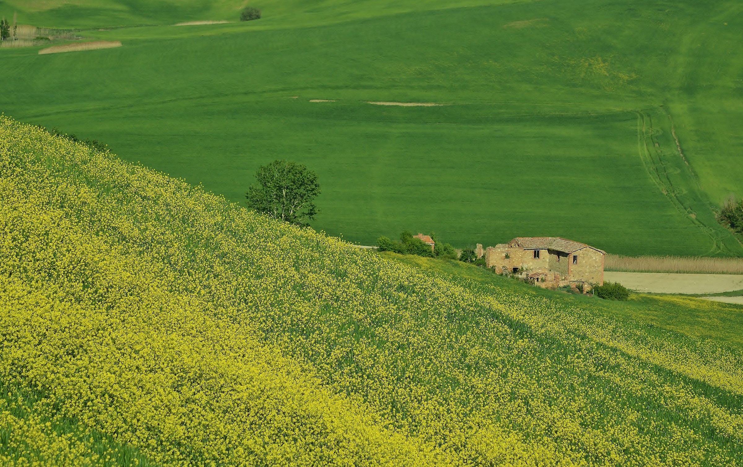 The colors of the Val d'Orcia...