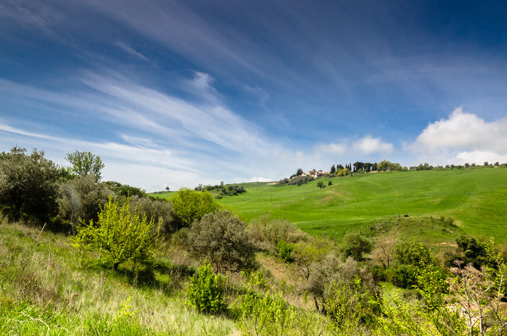 landscape...