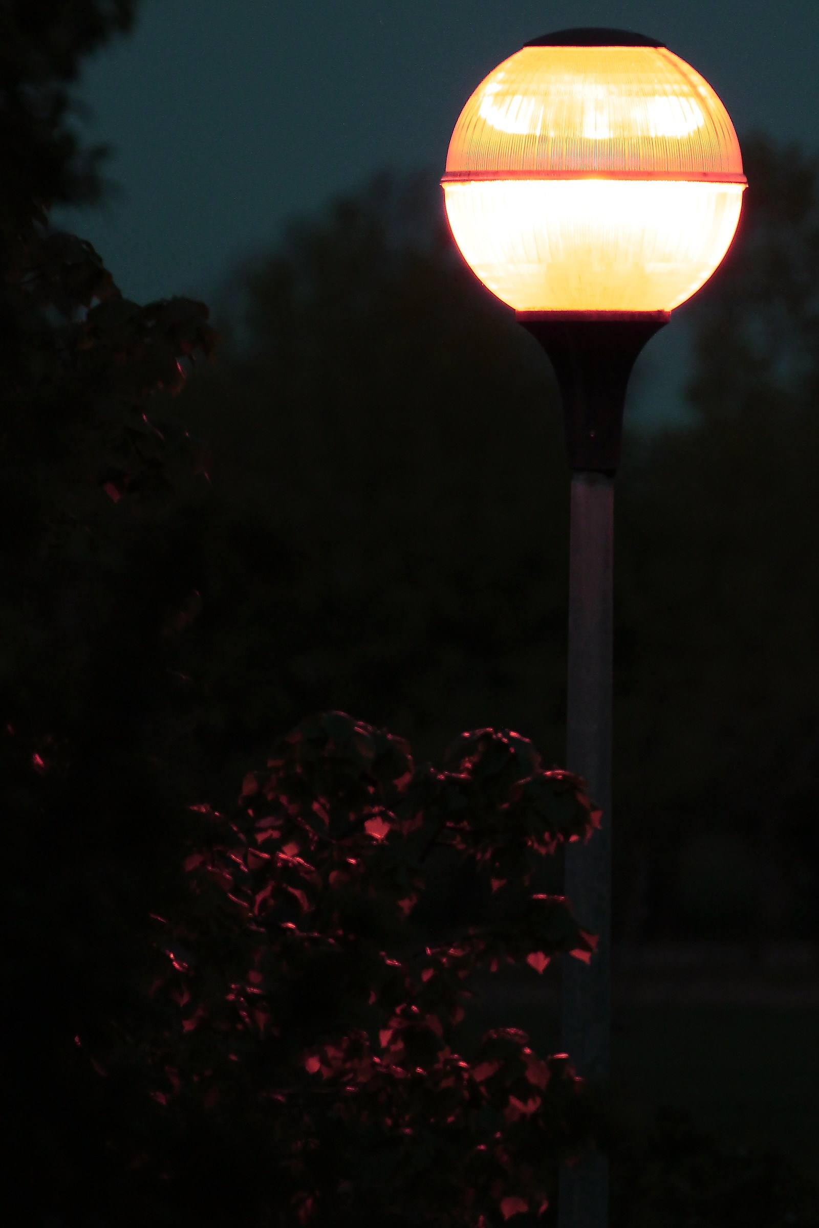 Street lamp...